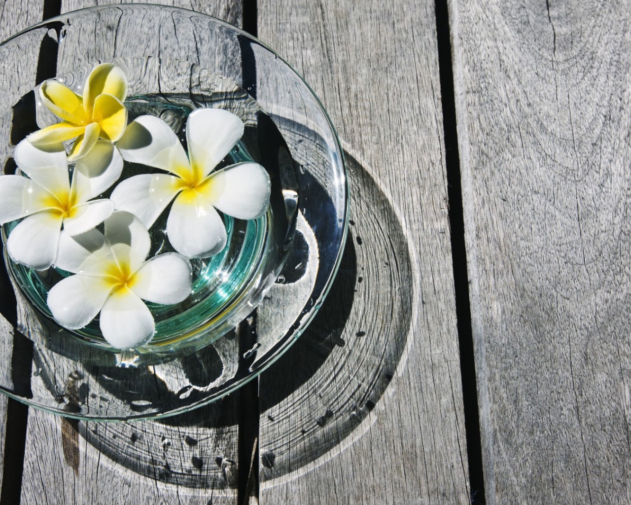 белая композиция