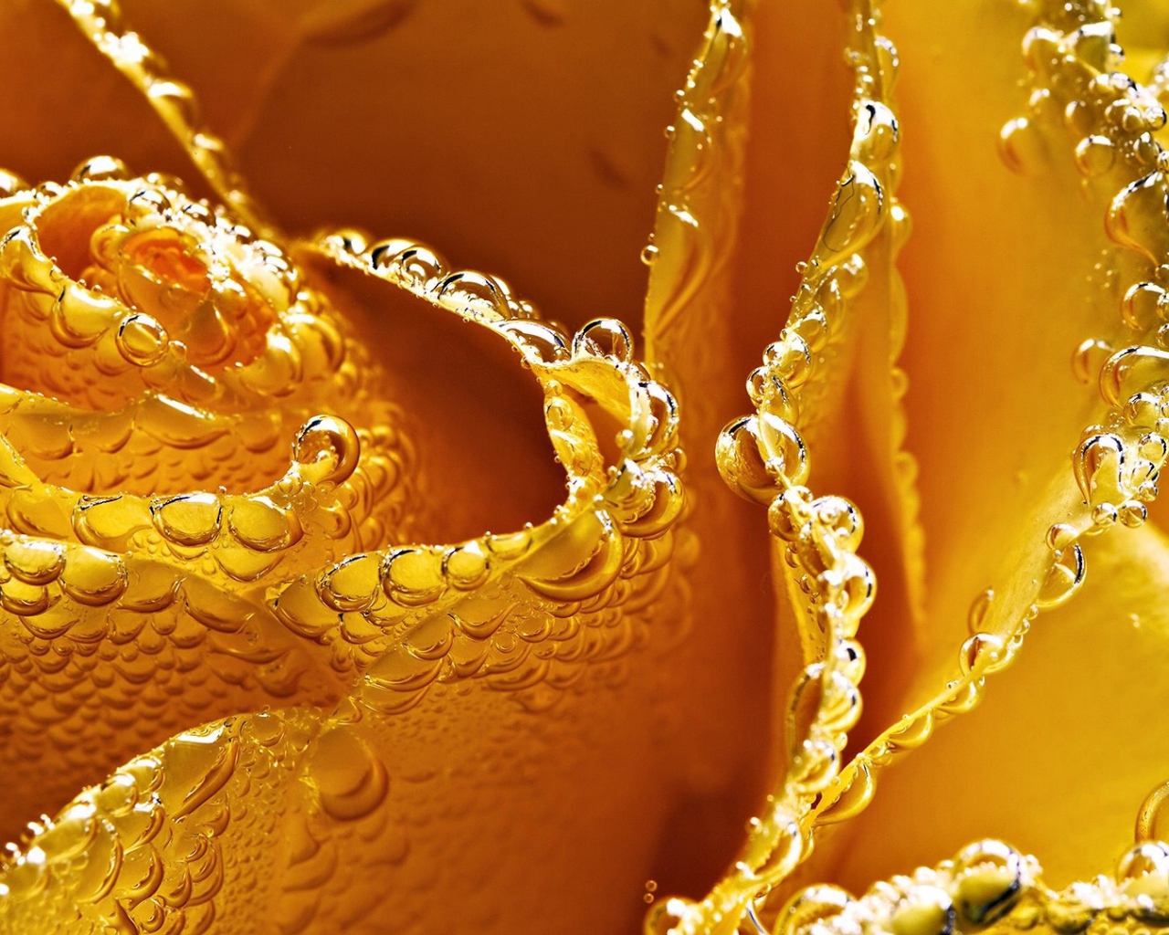 Жёлтая роза в пузырьках воздуха