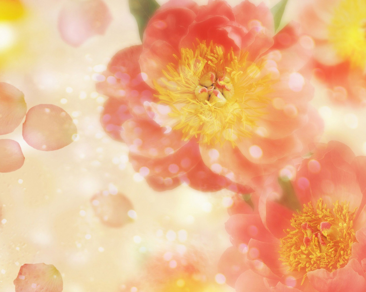 Летящие лепестки