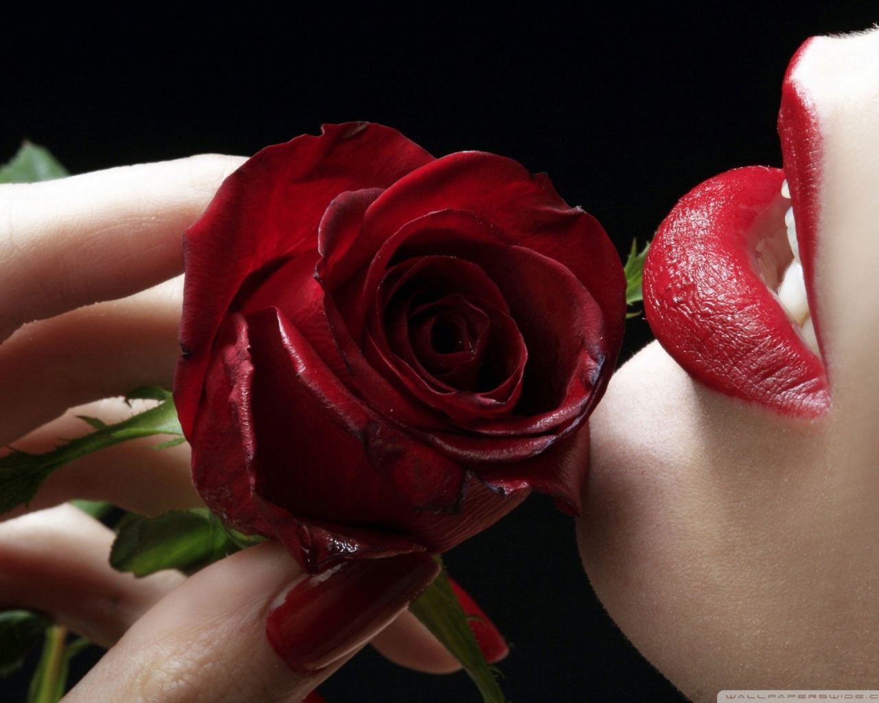 Губы и красные лепестки розы