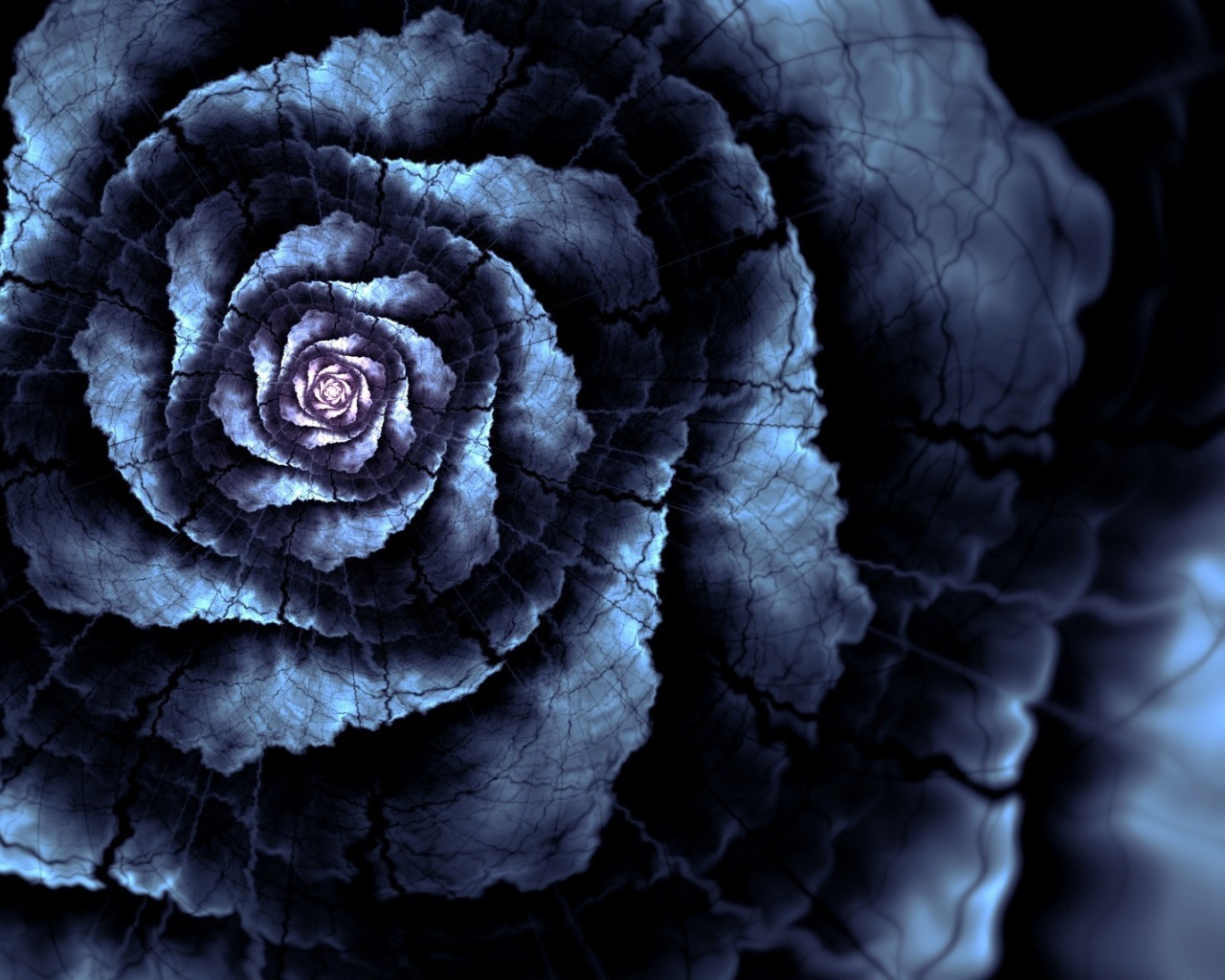 Абстрактный цветок роза