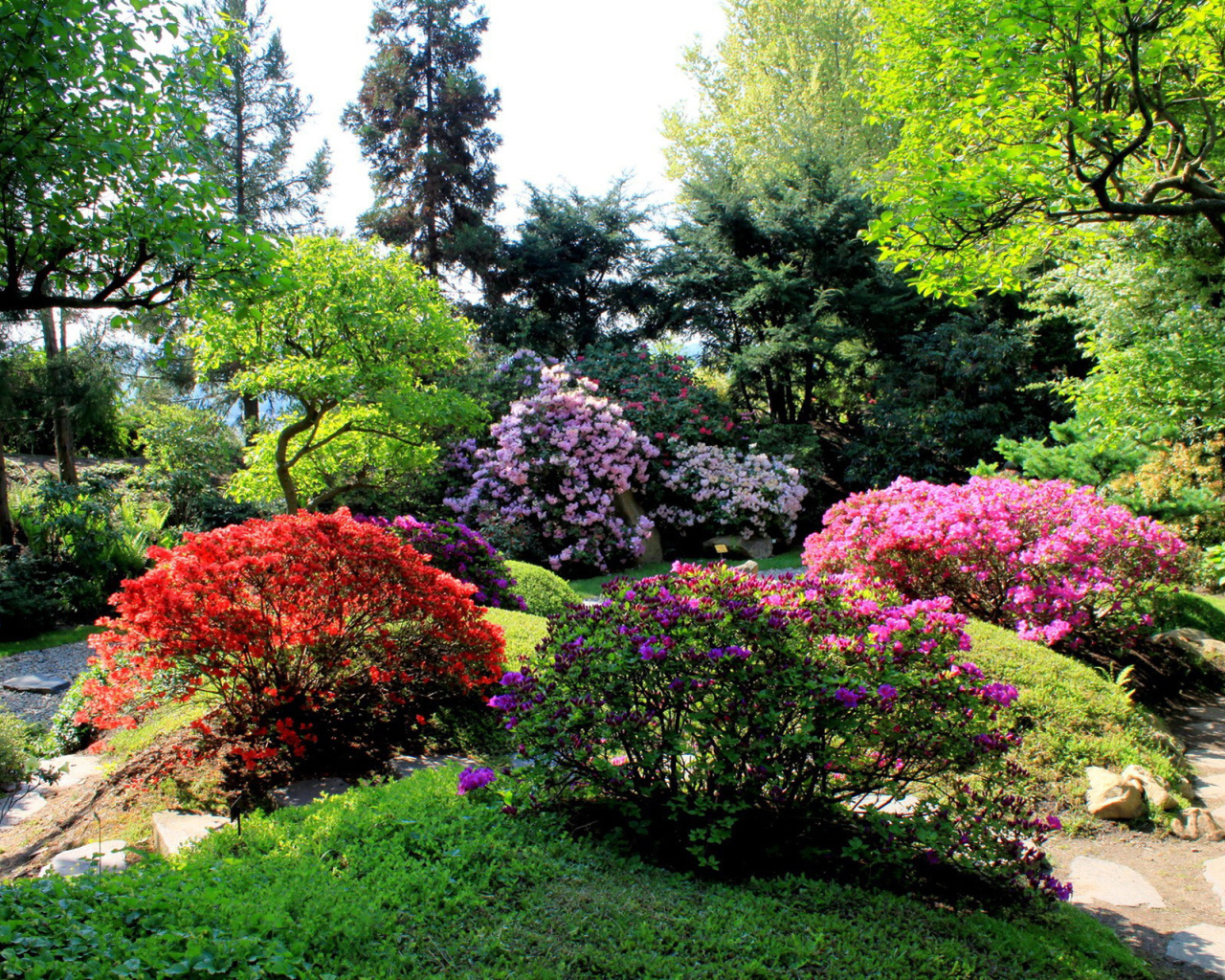 Аллея в парке