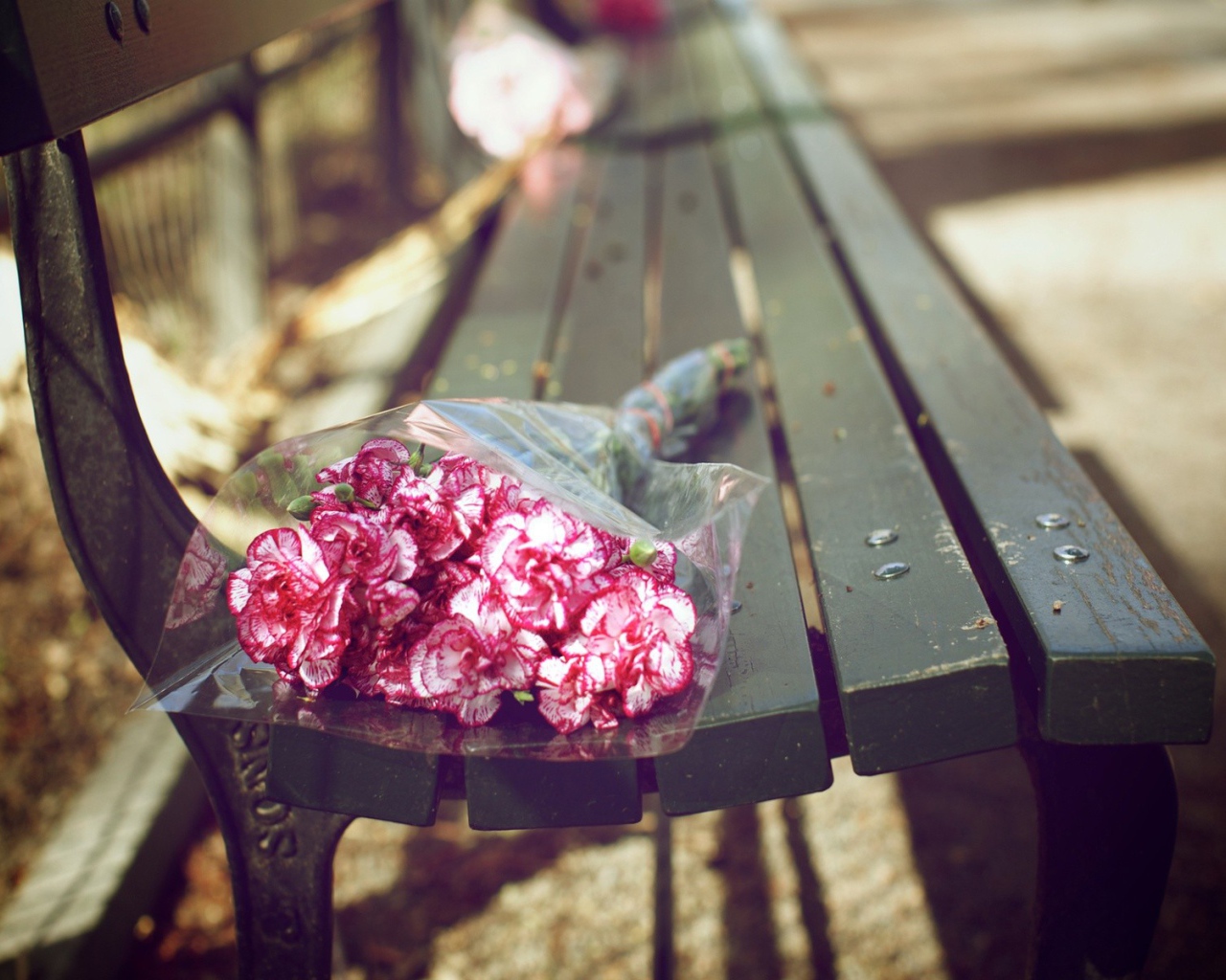 Букет гвоздик на скамейке