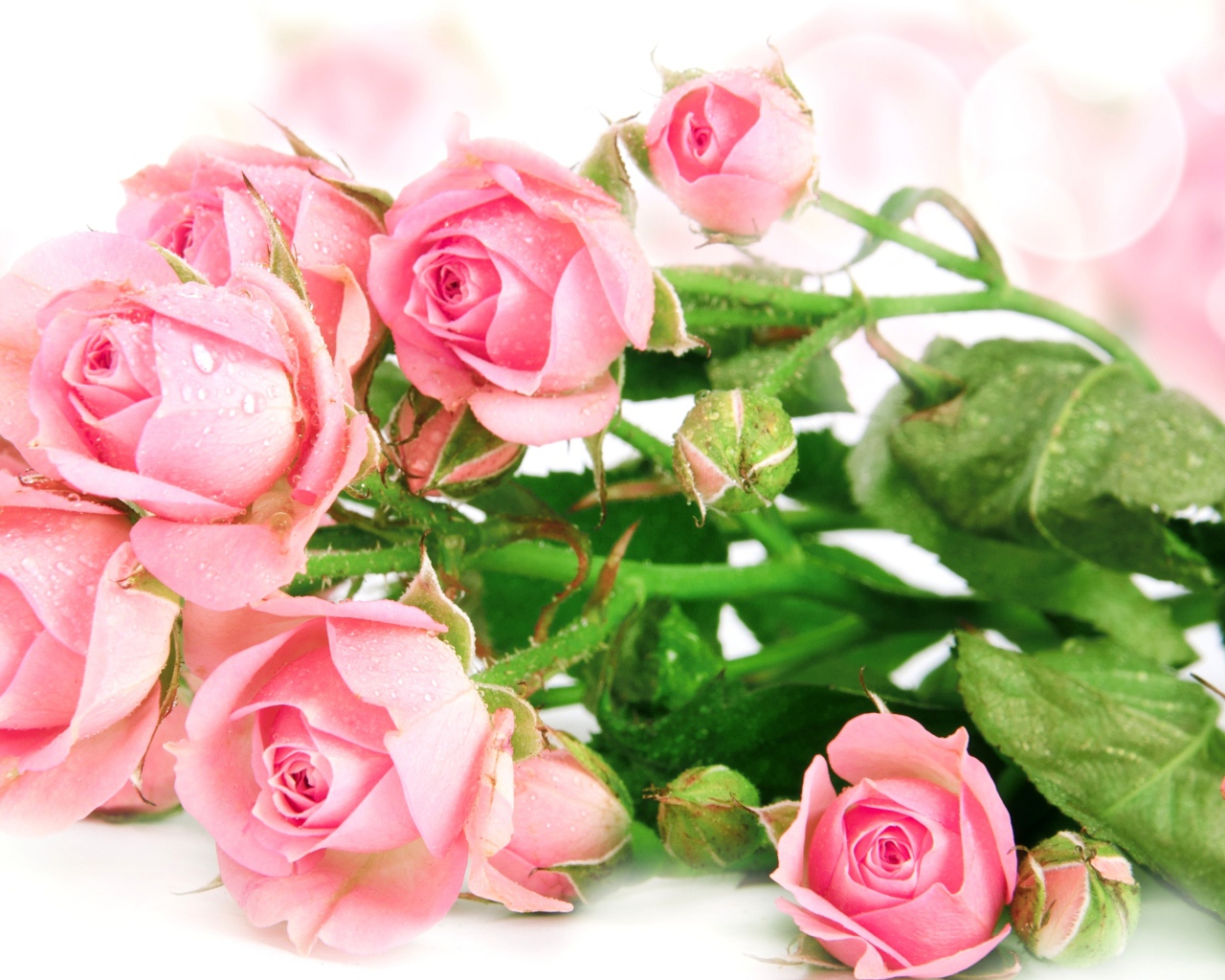 Букет роз с каплями воды