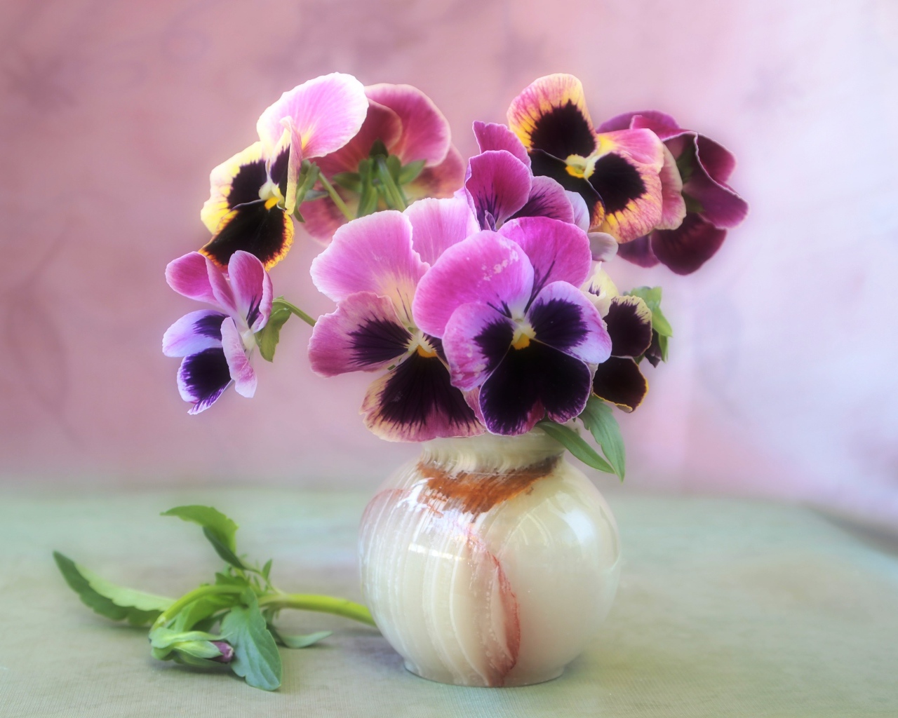 Букет фиалок