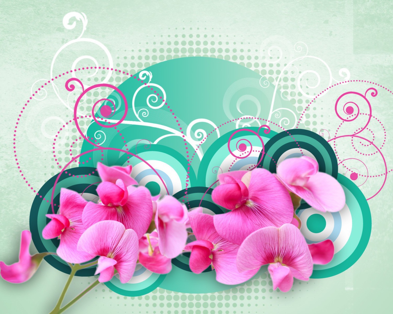 Рисунок с орхидеями