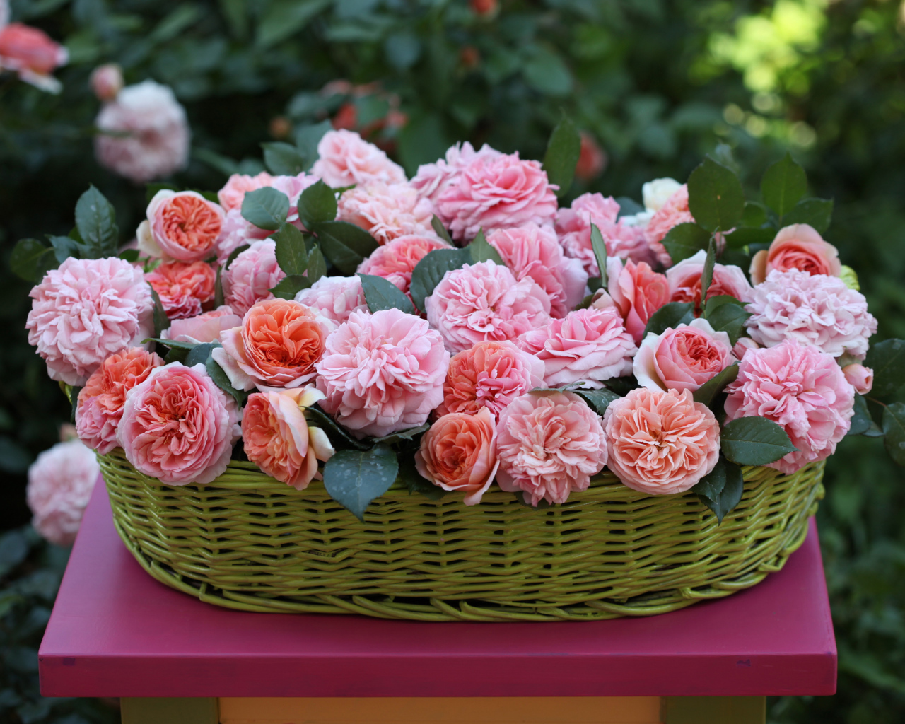 Цветы в зеленой корзине