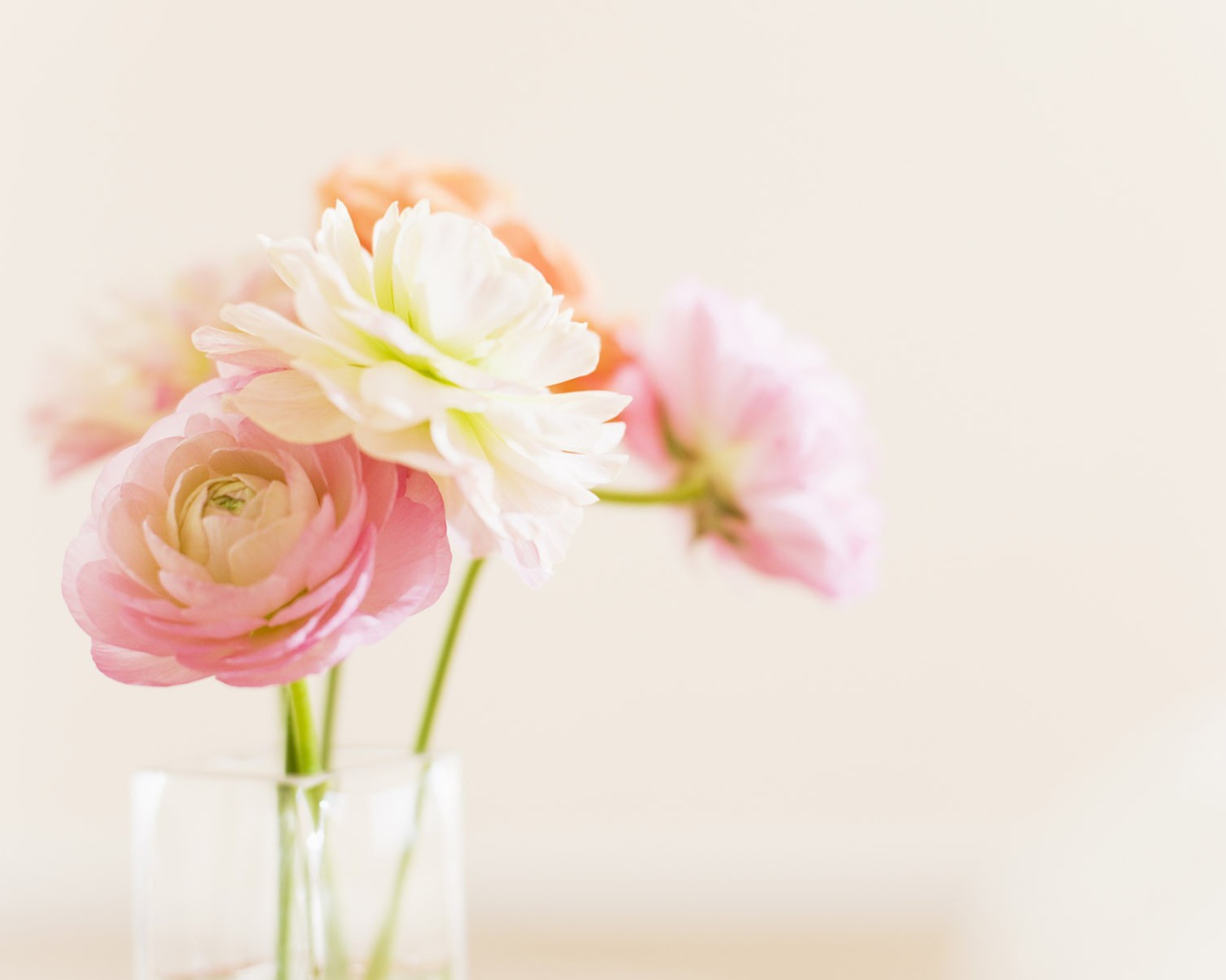 Цветы в стеклянном кувшине