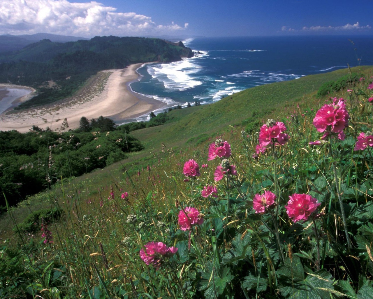 Вид на море с горы