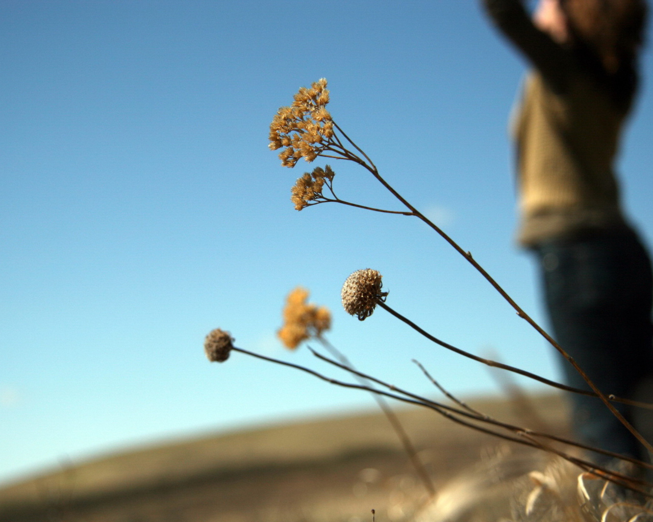 Силуэт девушки