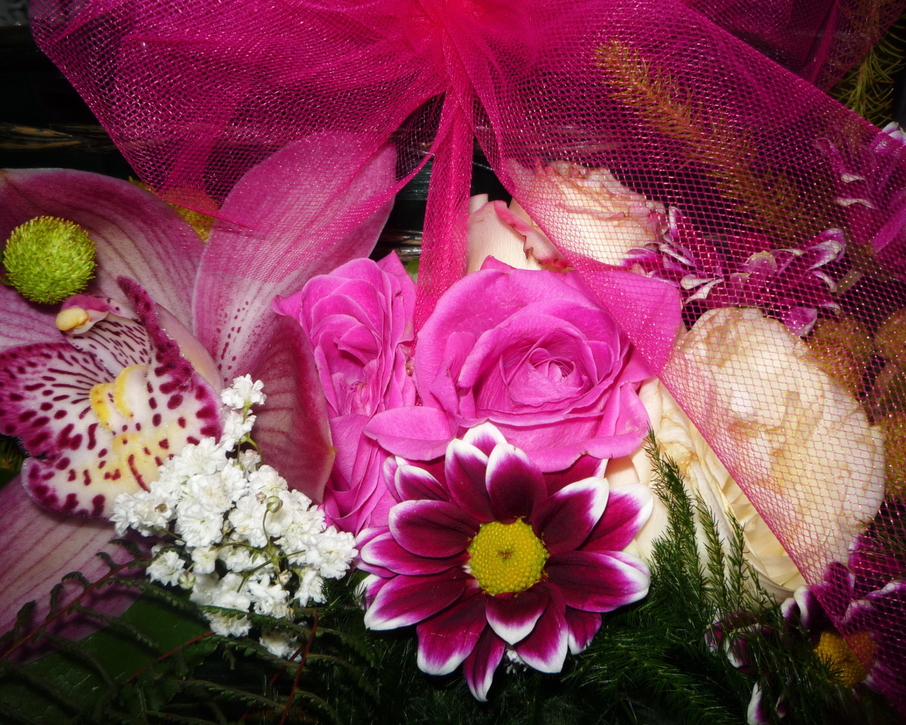 Цветы хризантема