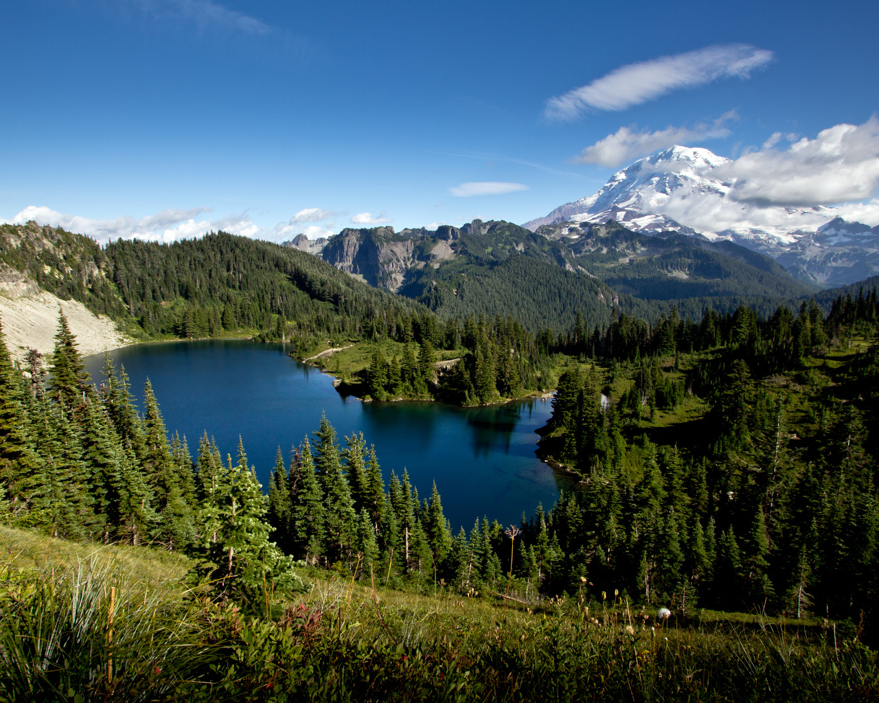 Красивые горные леса