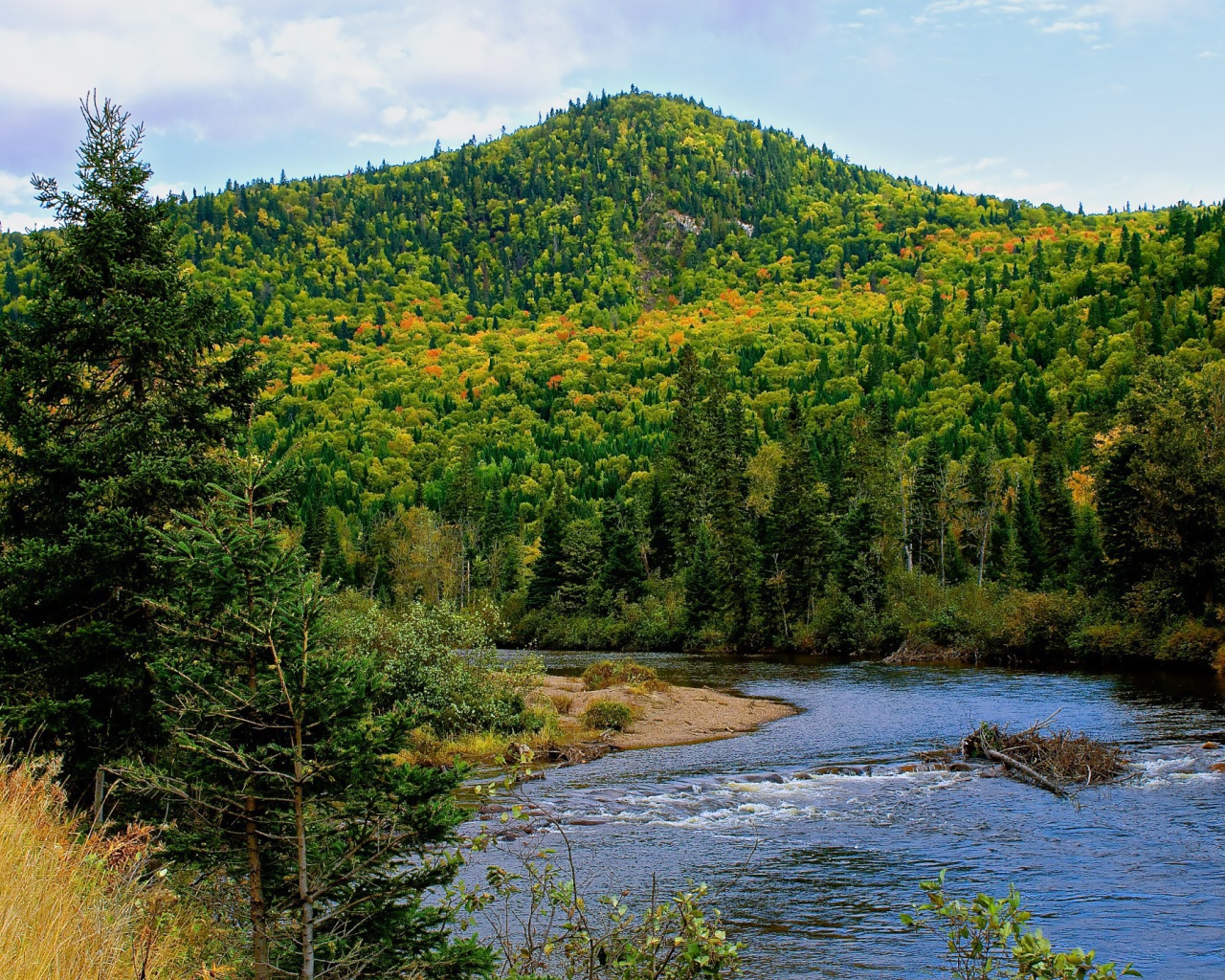 Гора покрытая лесом
