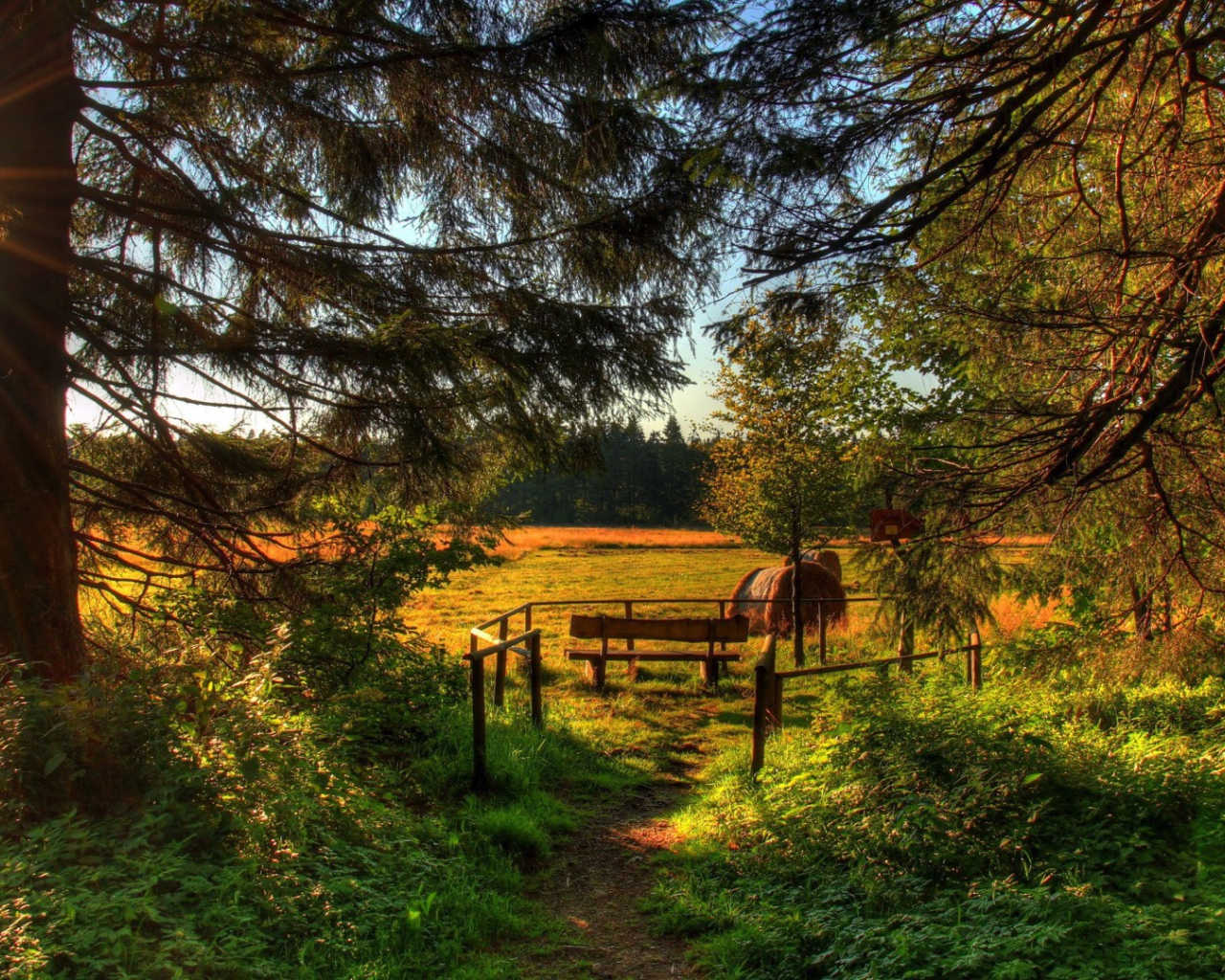 Летняя полянка