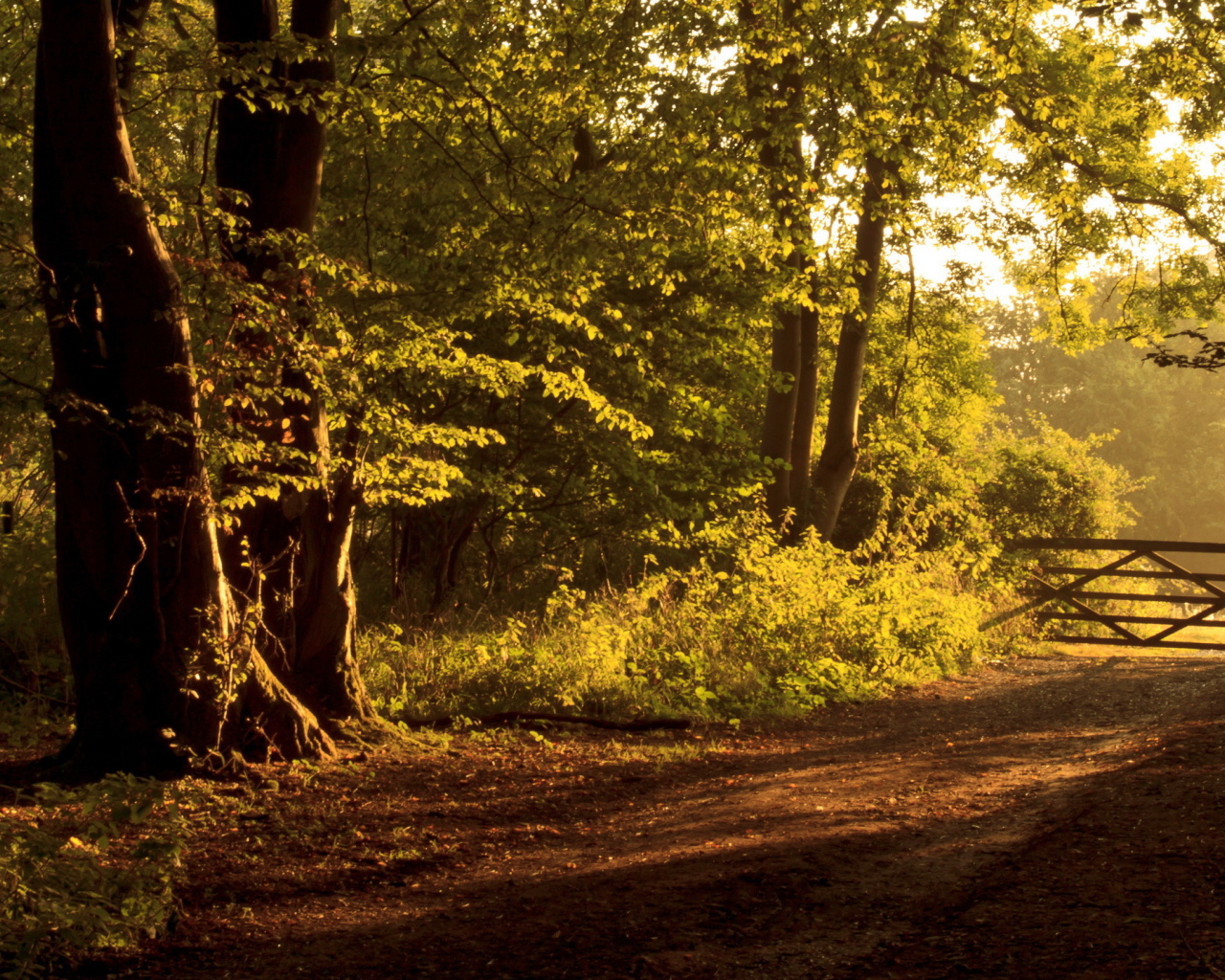 Забор на дороге