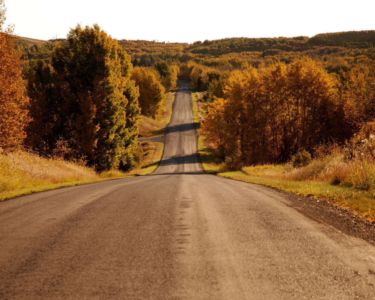 Пейзаж у дороги