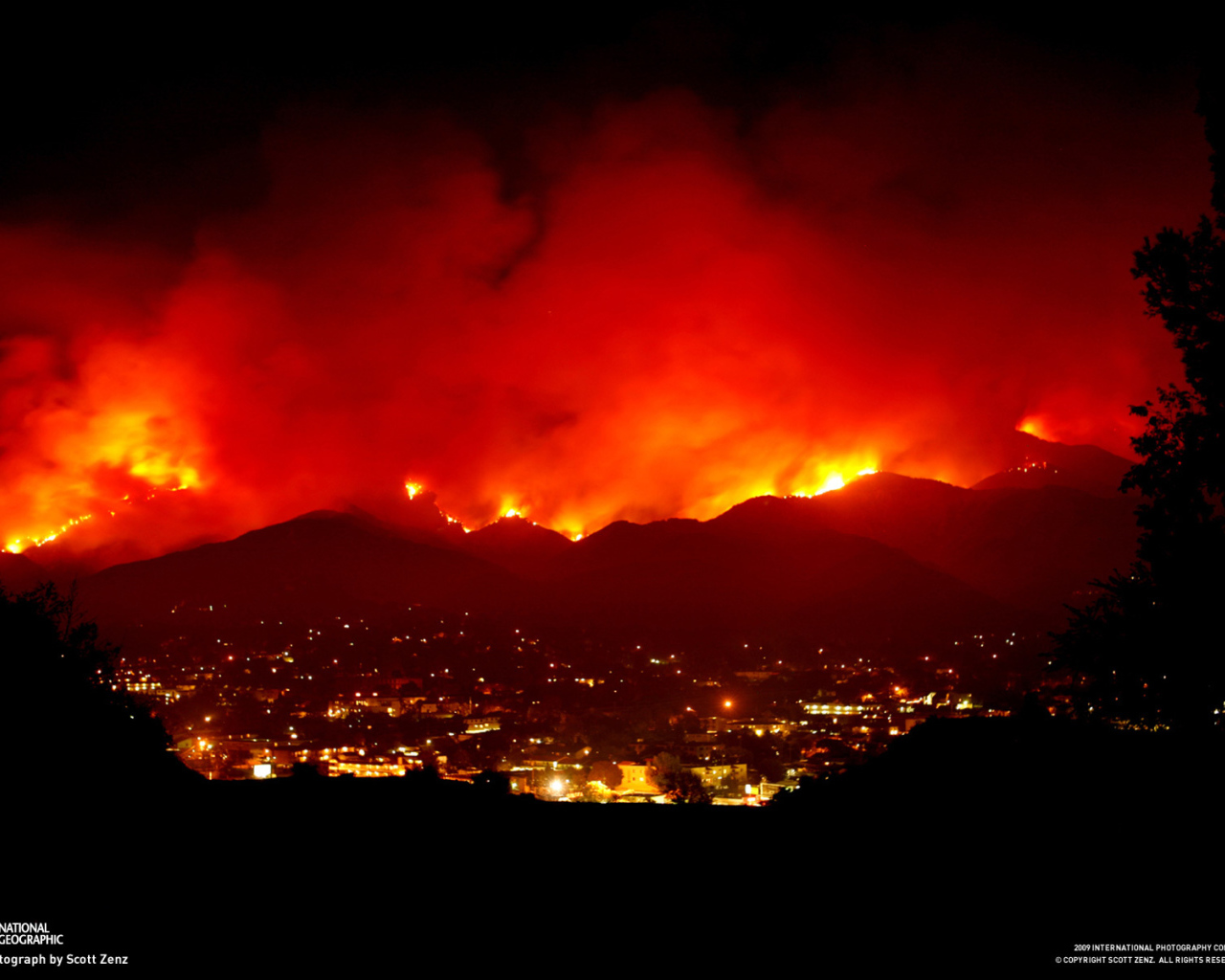 Лесной пожар