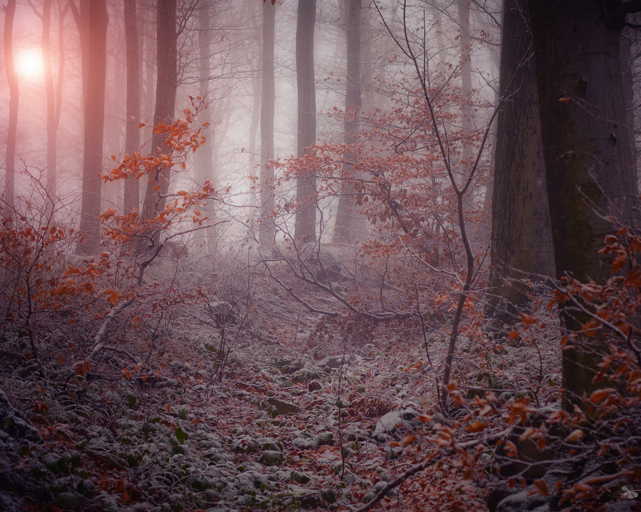 Поздняя осень