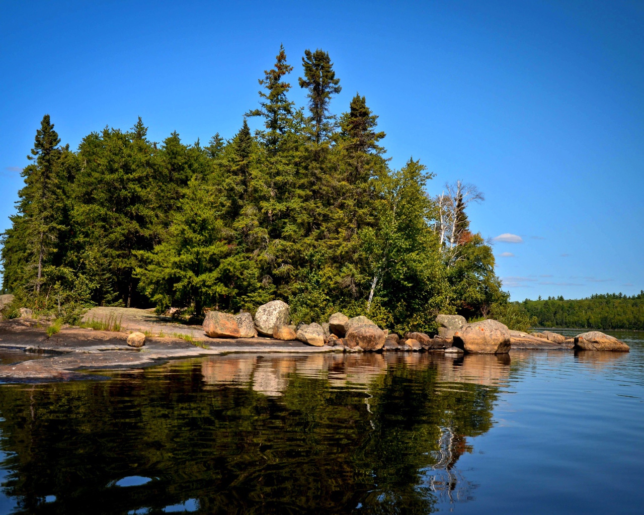 Поросший лесом остров