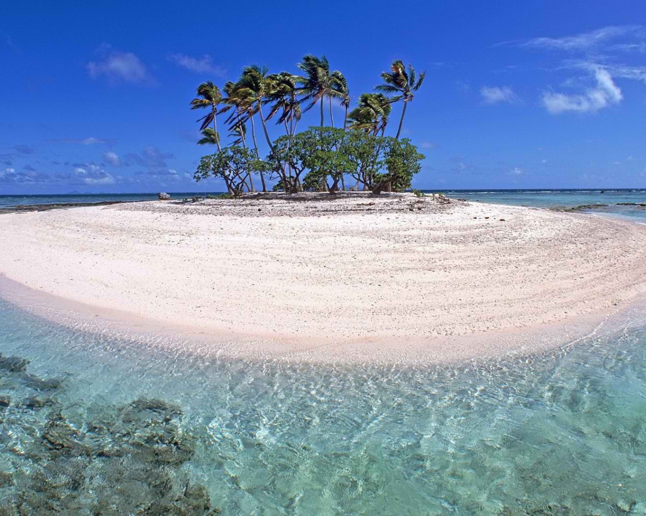 Маленький остров с деревьями