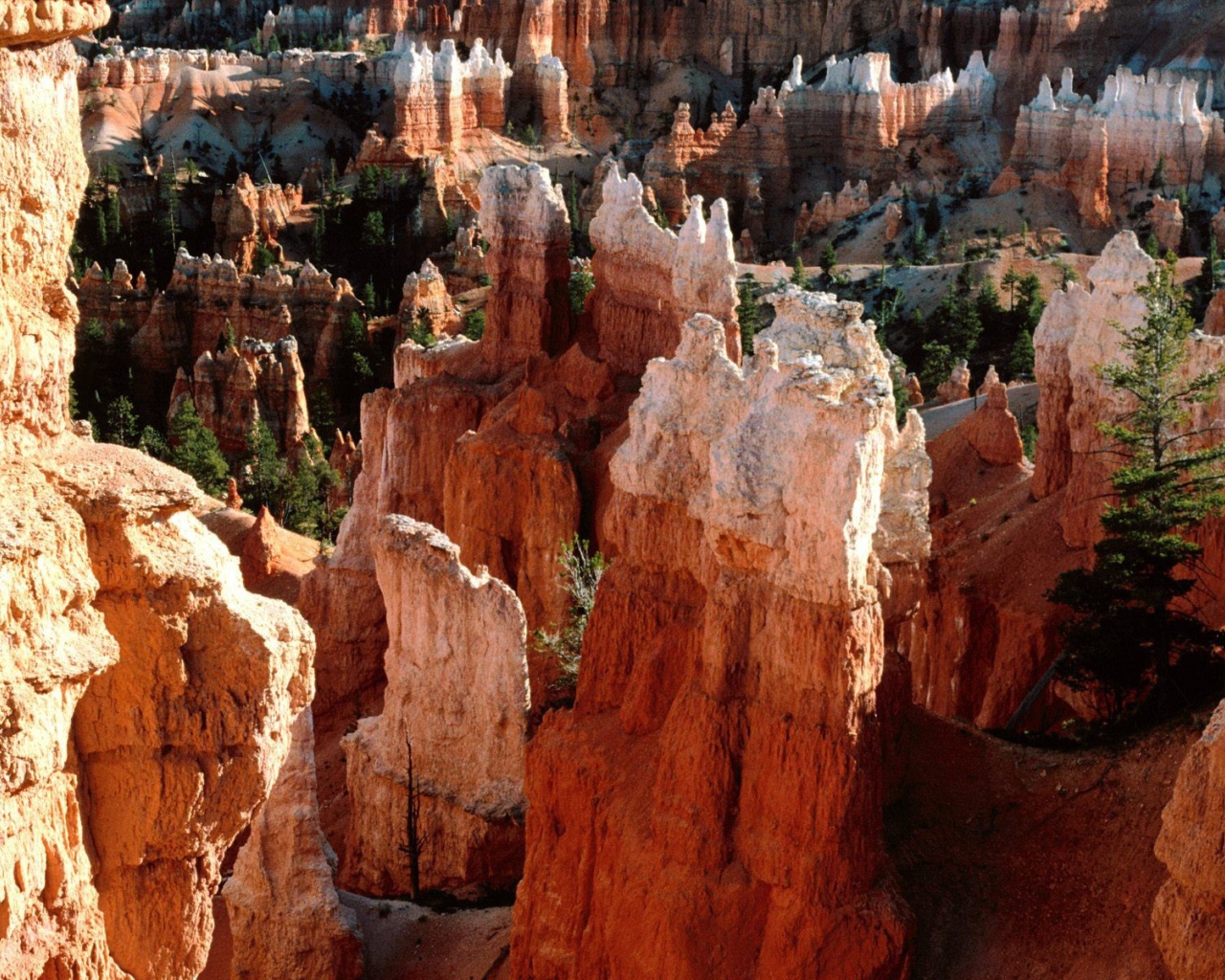 Каньон Брюс