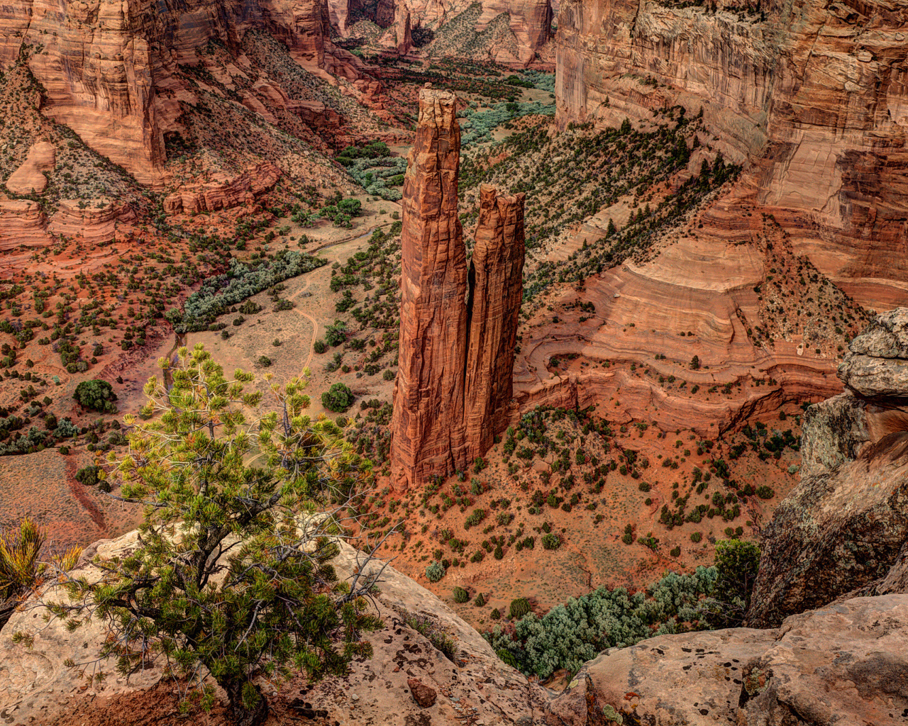 Каньон в США