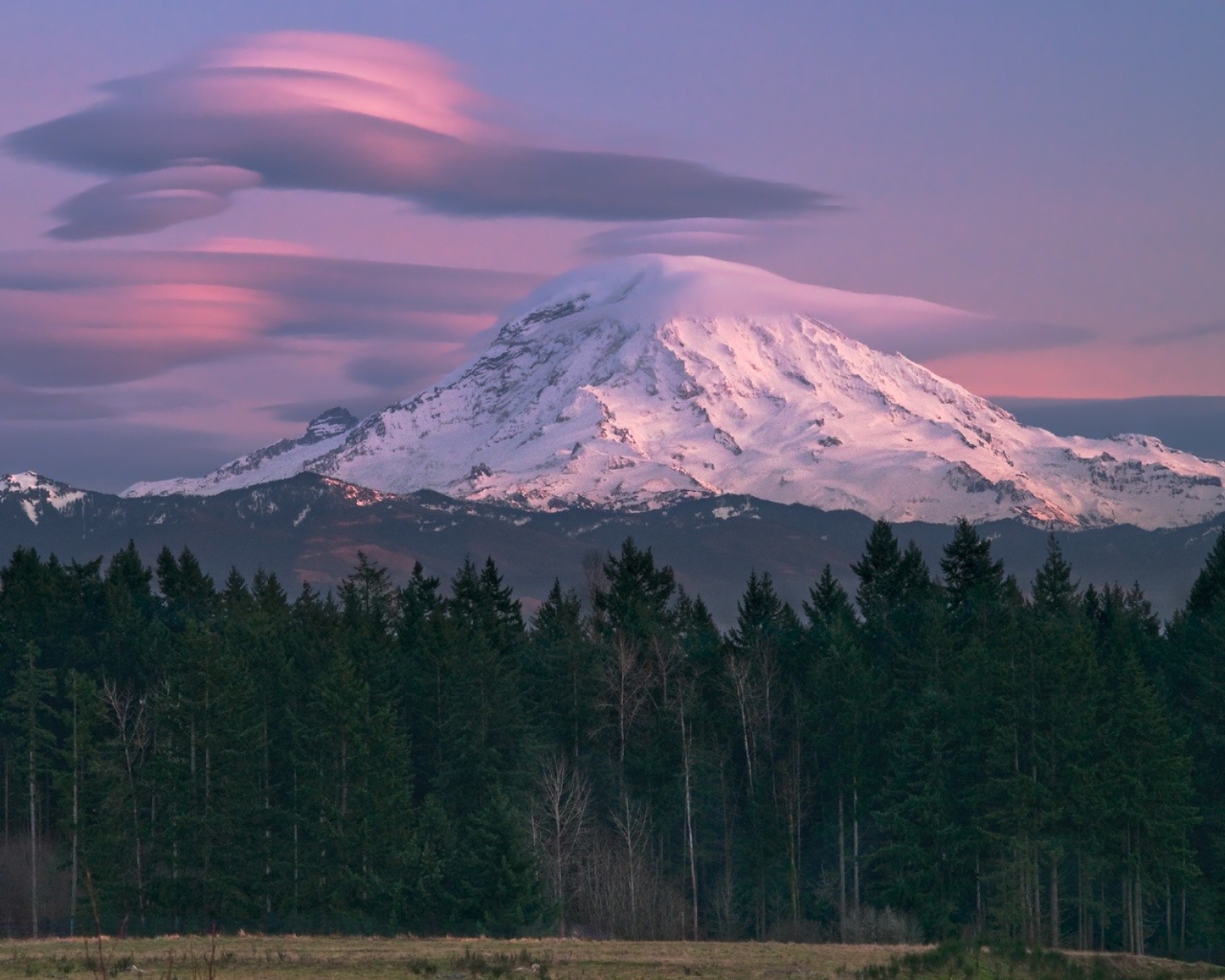 Гора Райнер в Сиетле