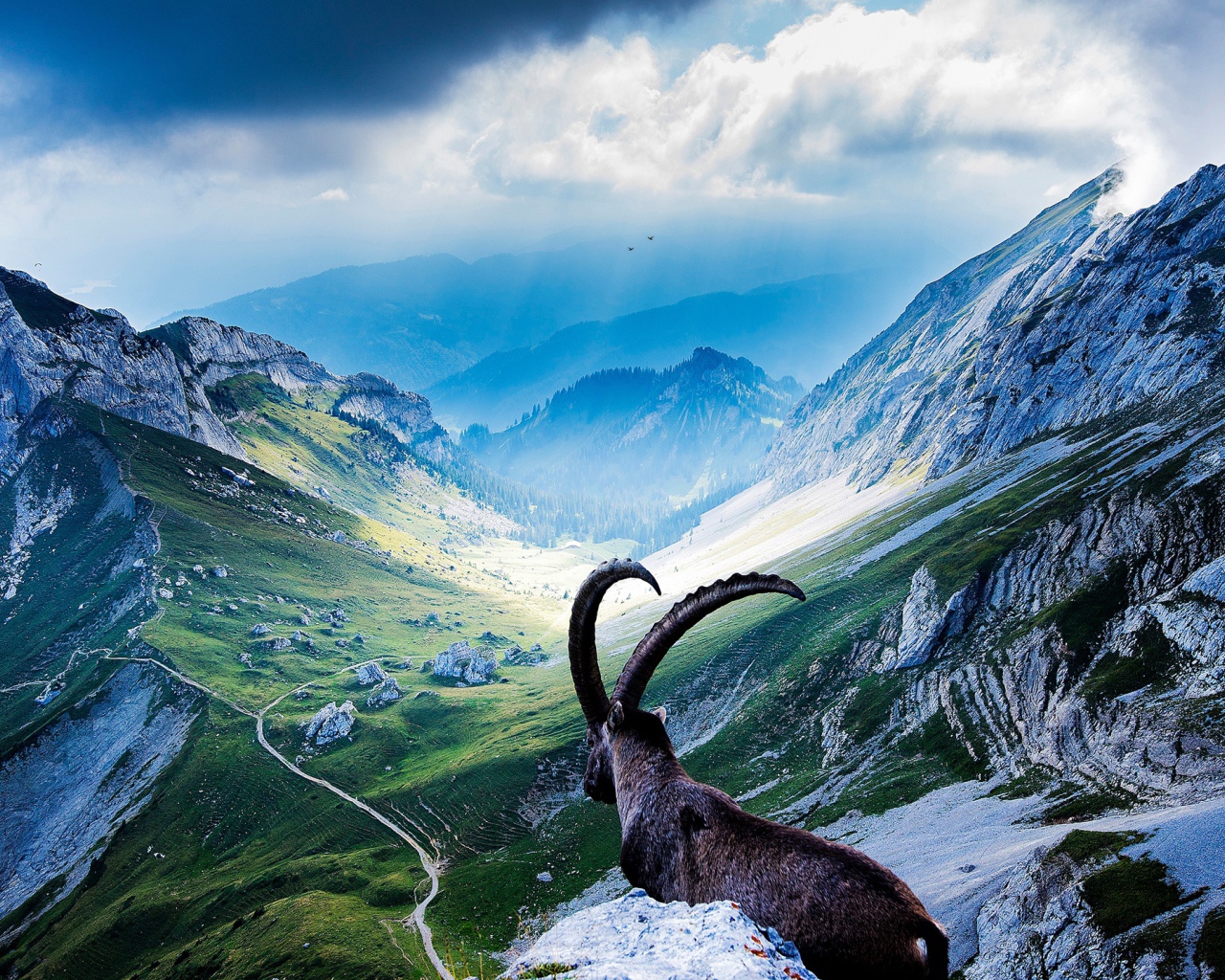 Вершины гор