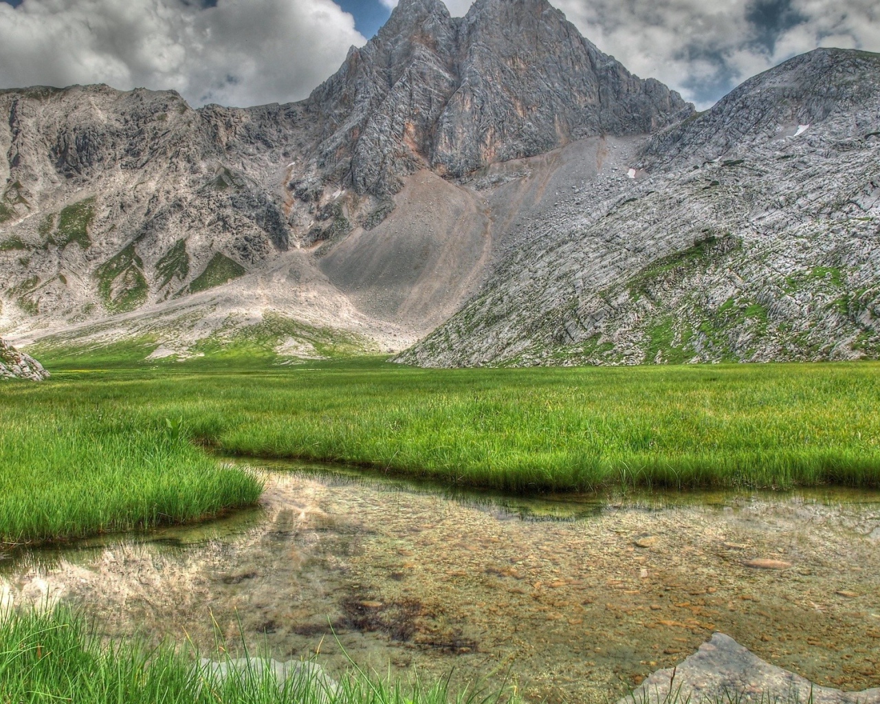 Заросшее травой озеро