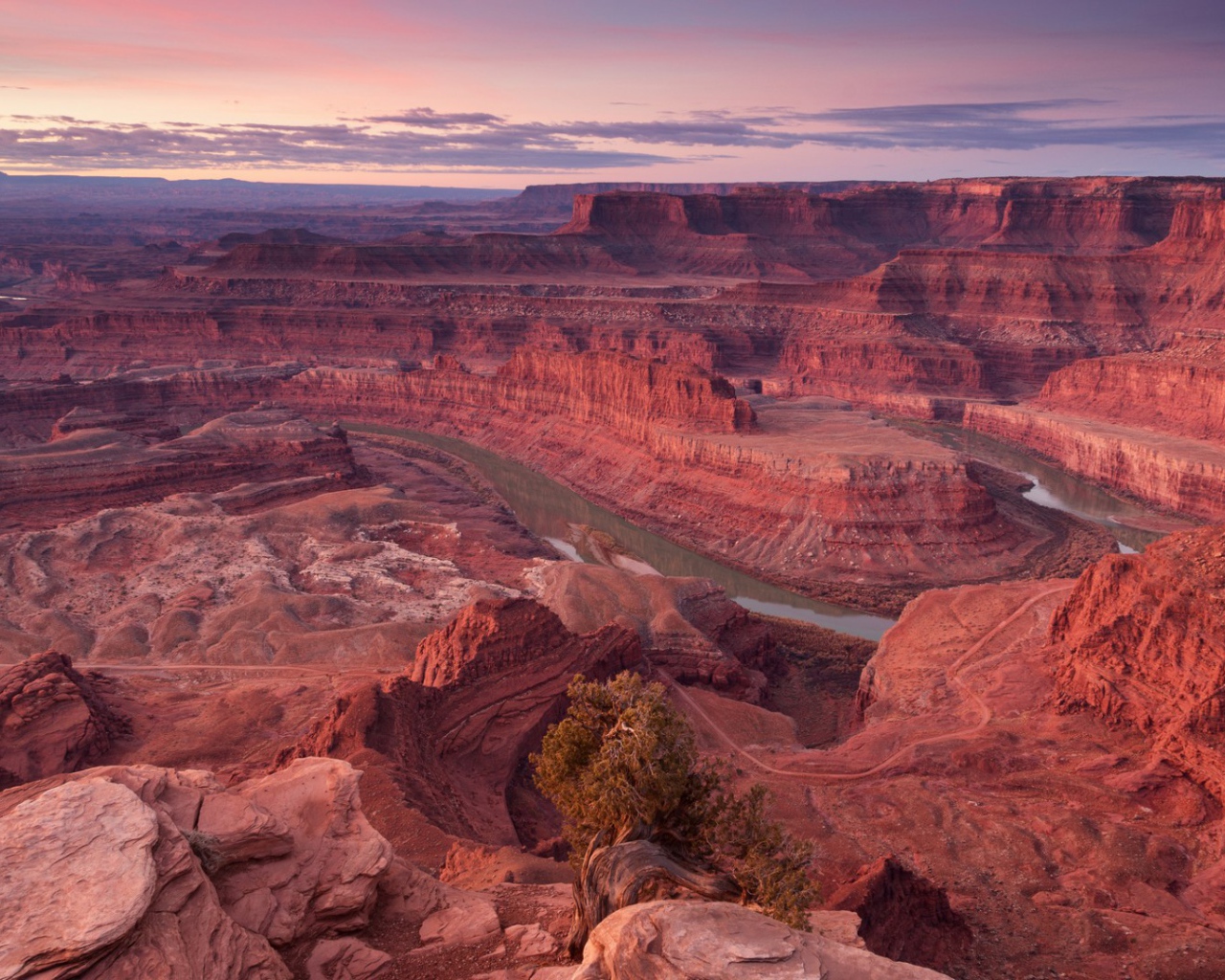 Розовый каньон