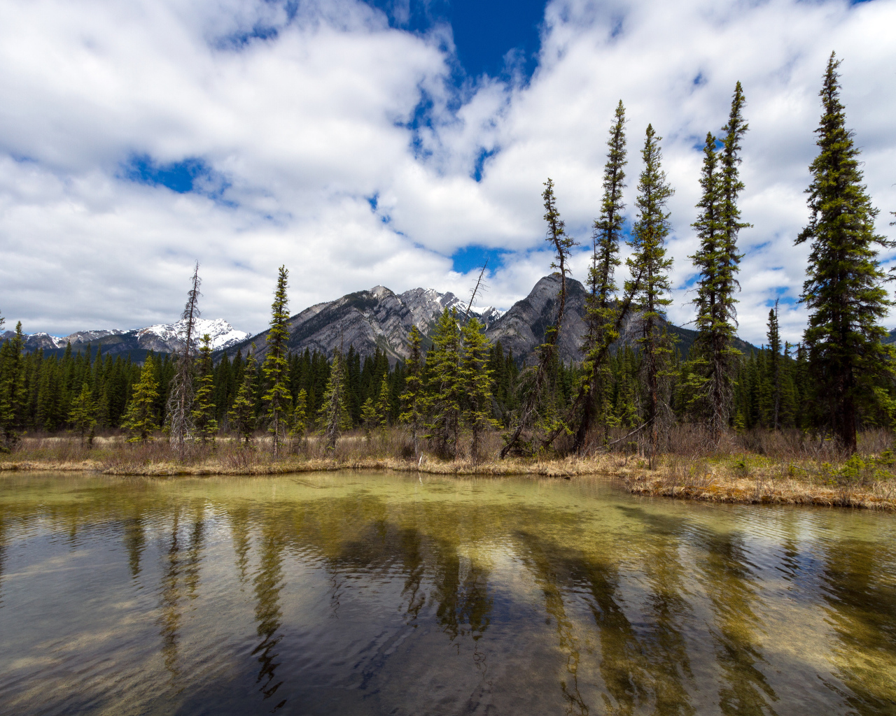Маленькое озеро и красивые горы