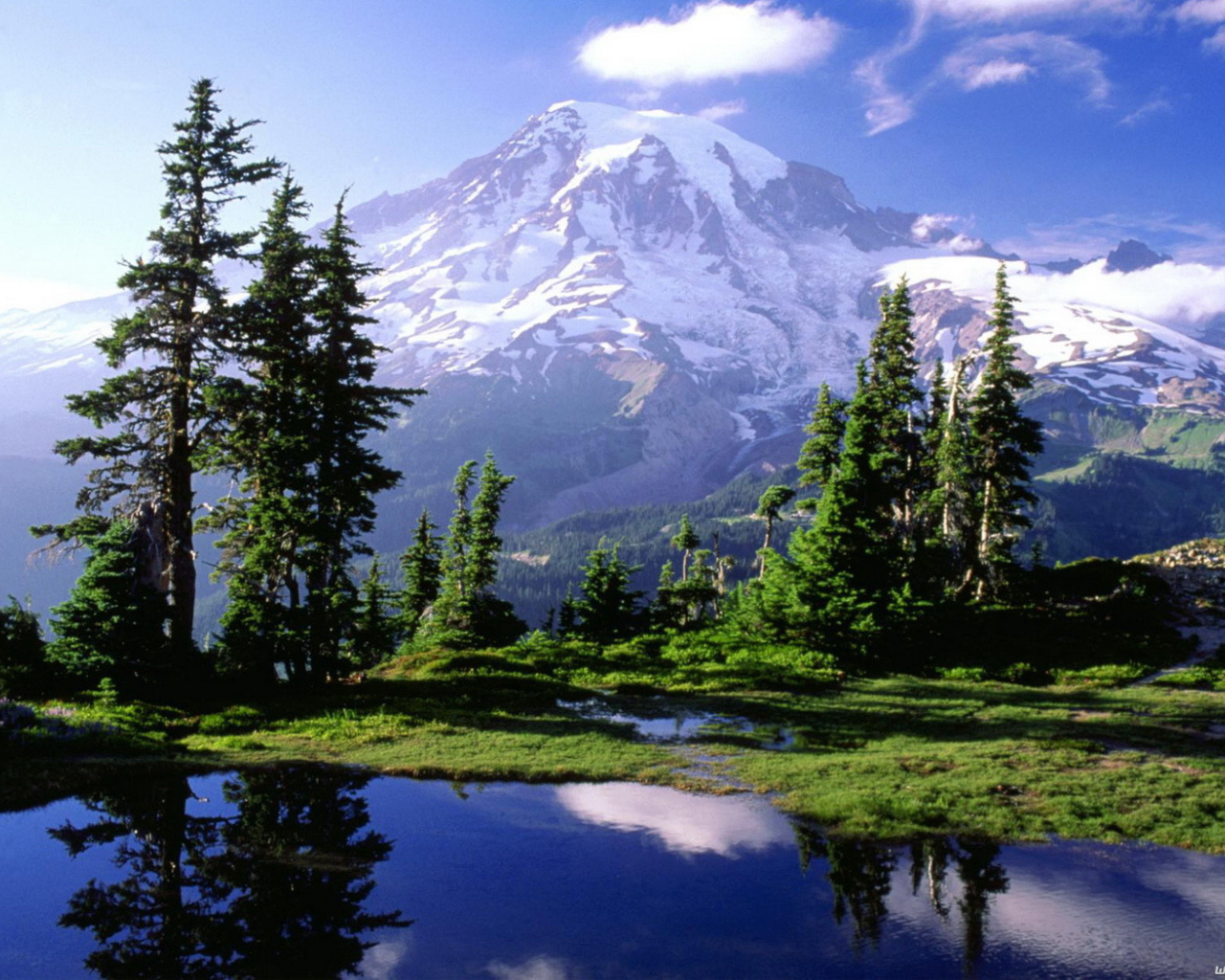 Снежная гора вдали