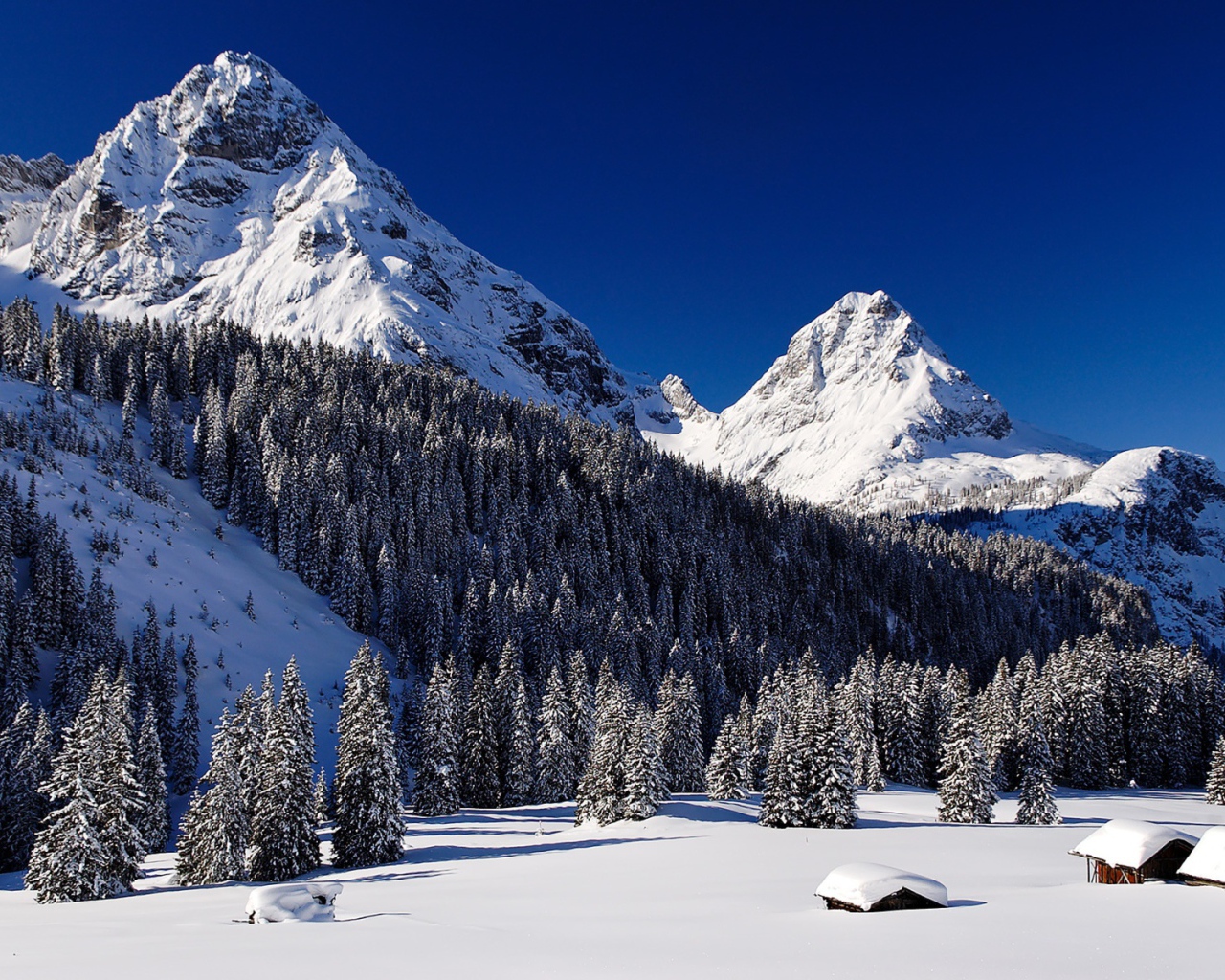 Снежные горы и лес в снегу