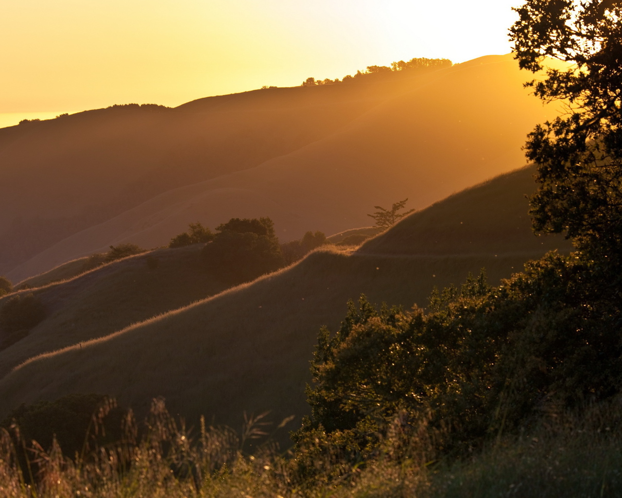 Солнечный свет в горах