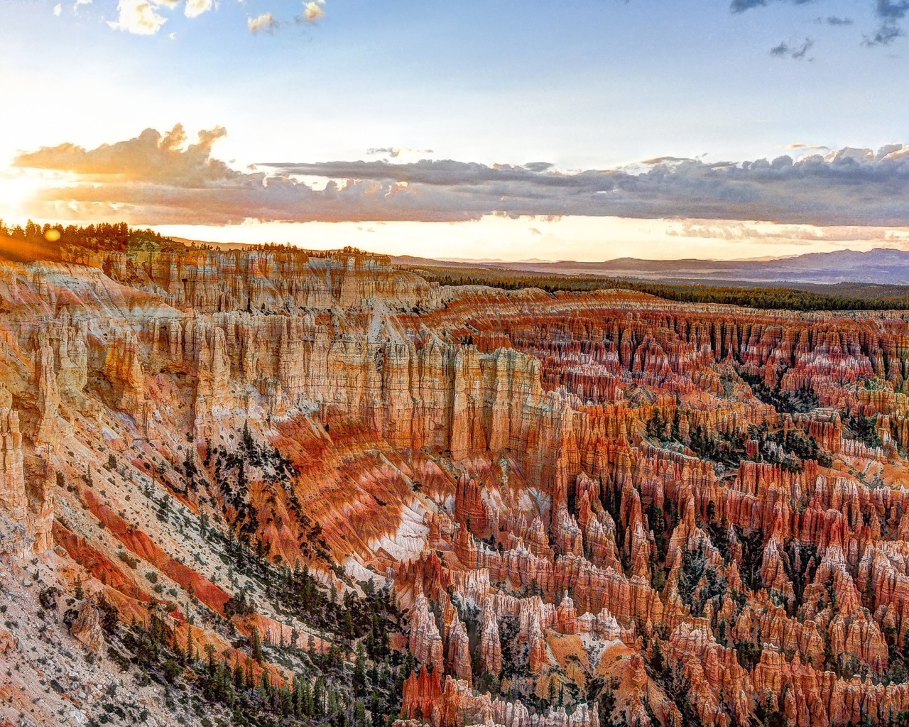 Каньон Брюс