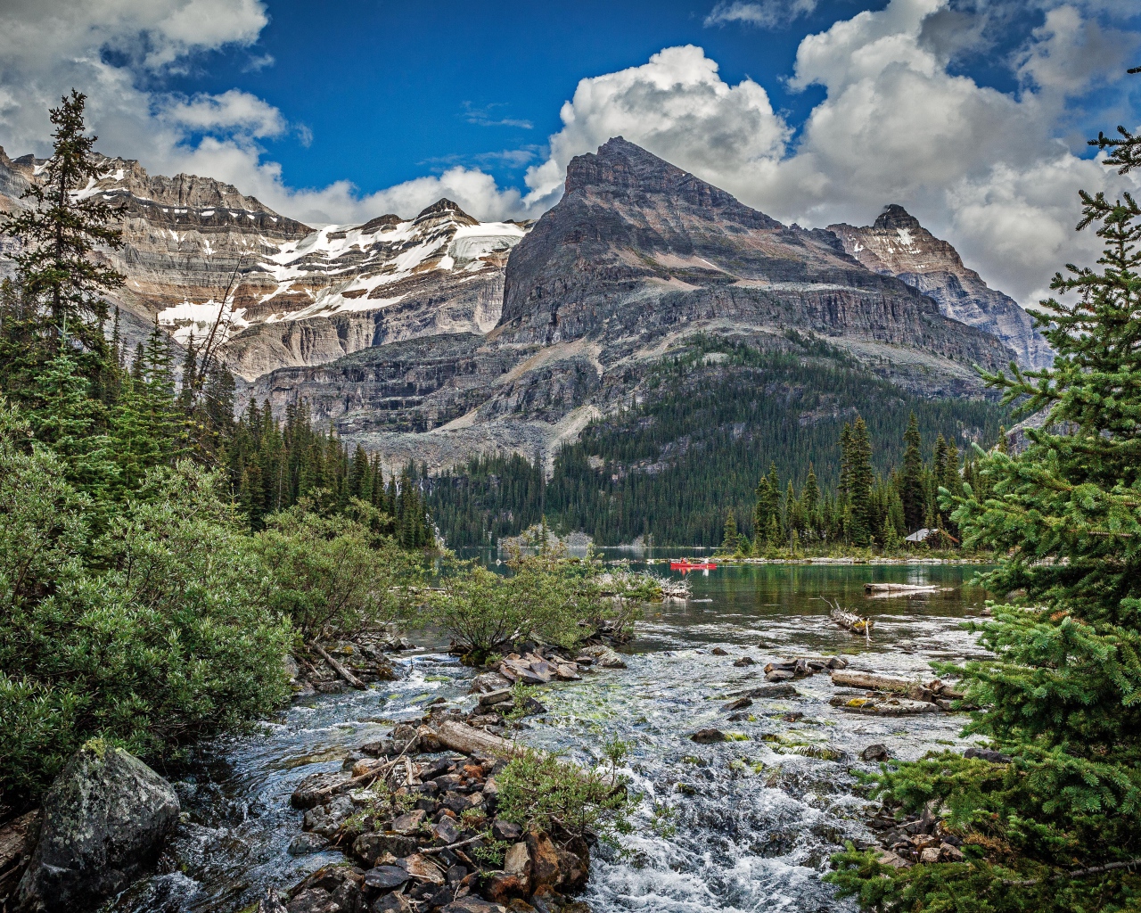 Горная река среди леса