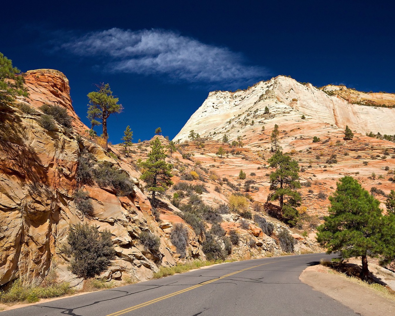 Дорога в желтых горах