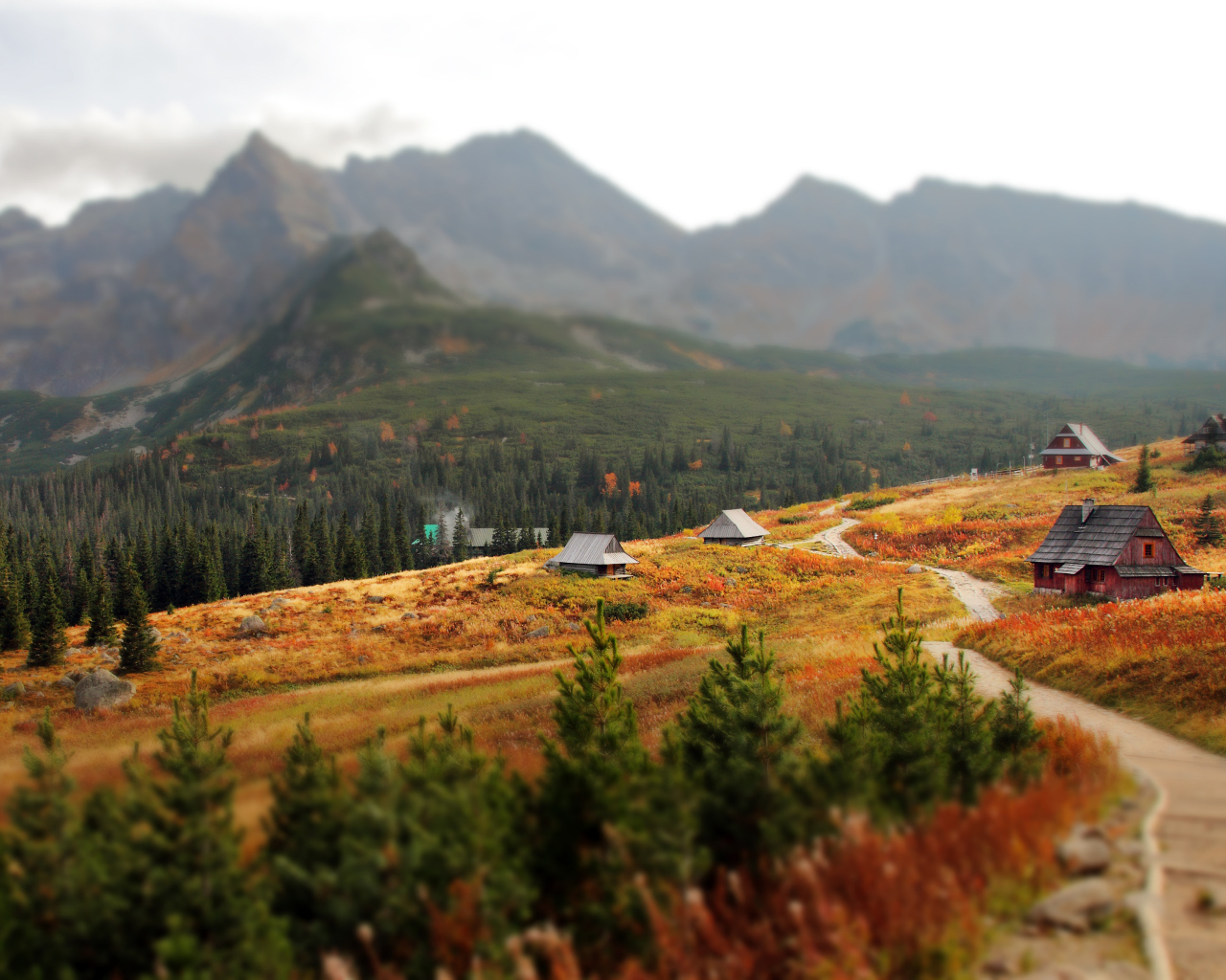 Посёлок на фоне гор Татры