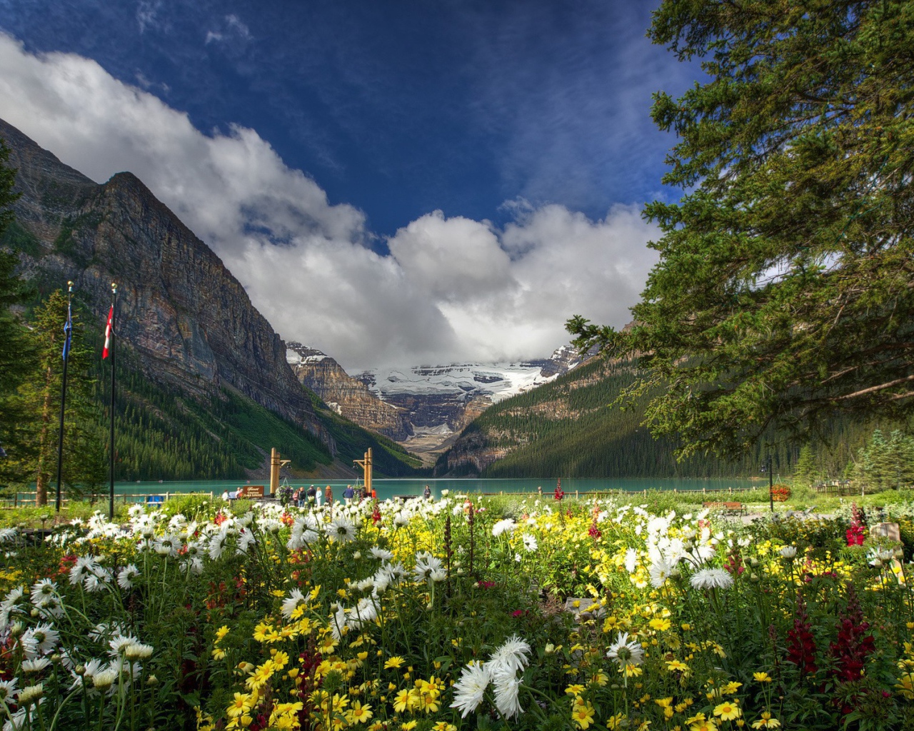 Цветочная поляна у озера