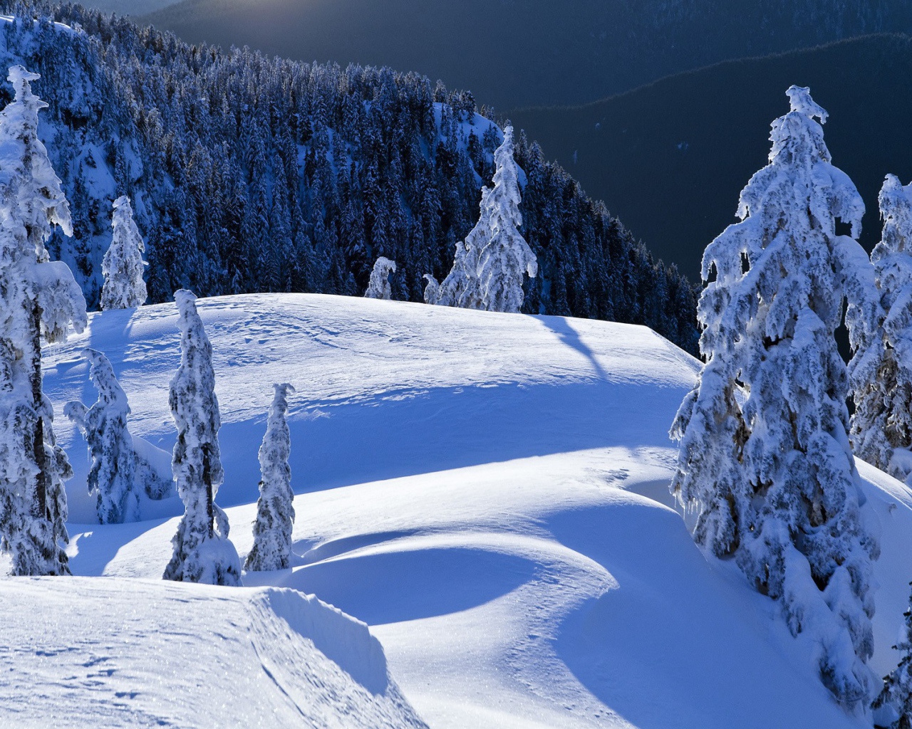 Горный пейзаж Колумбии