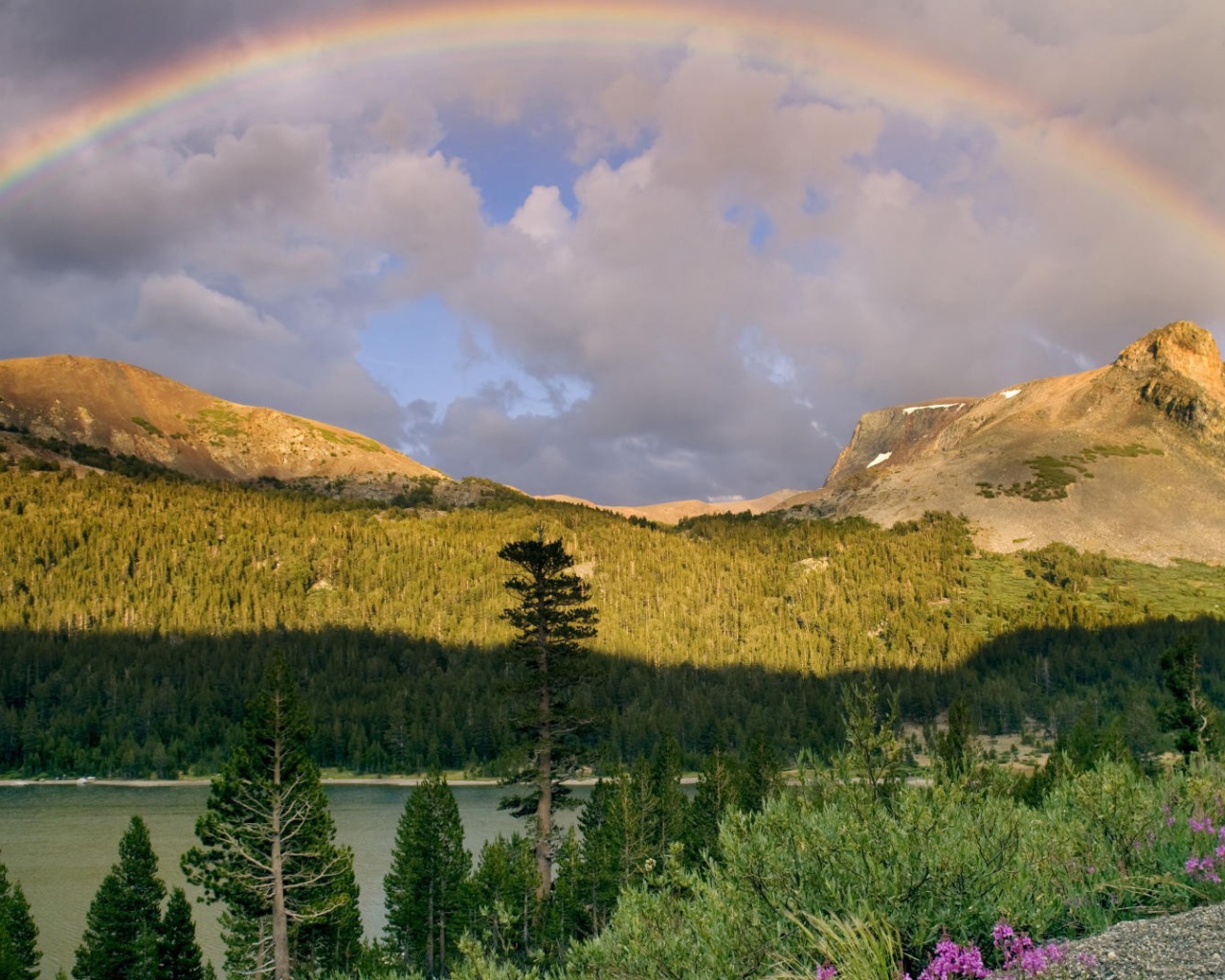 Радуга после дождя