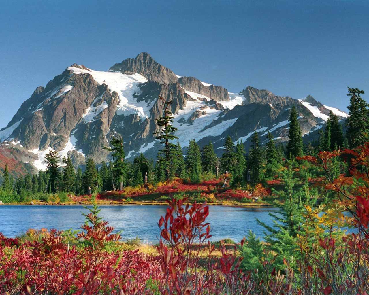 Озеро и лес в горах