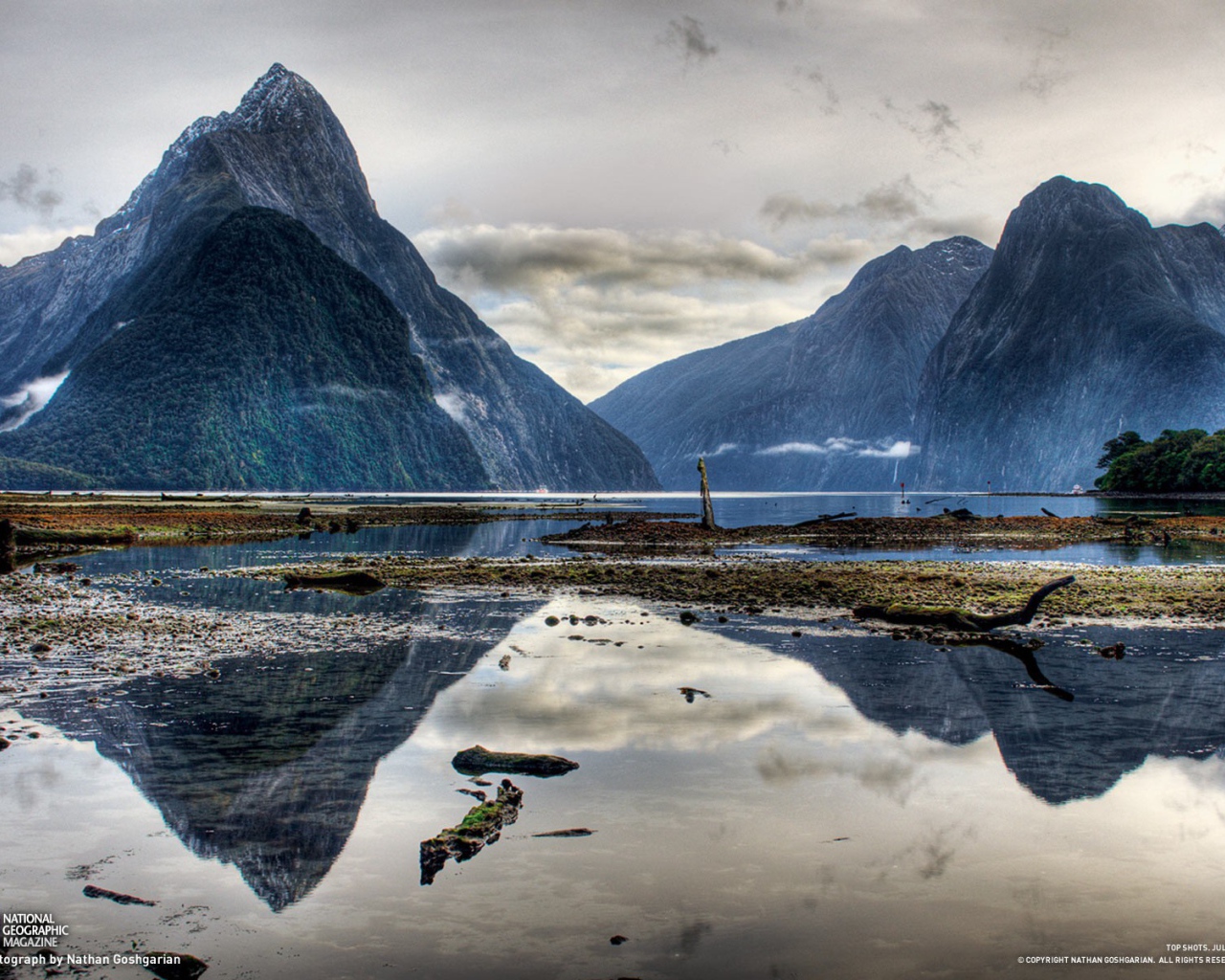 Дикая природа гор