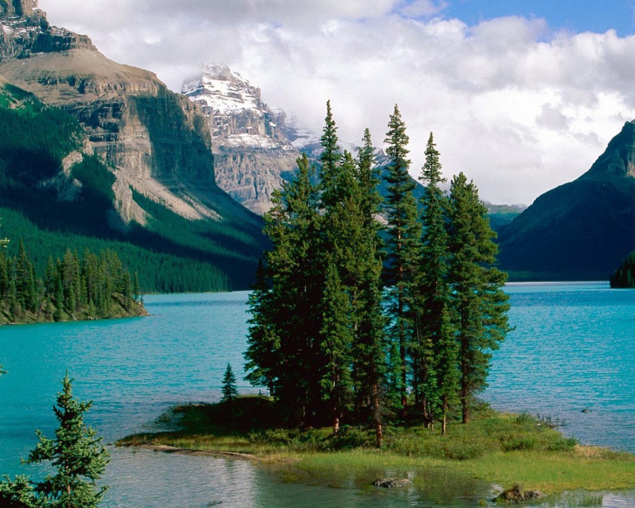 Остров с деревьями на озере