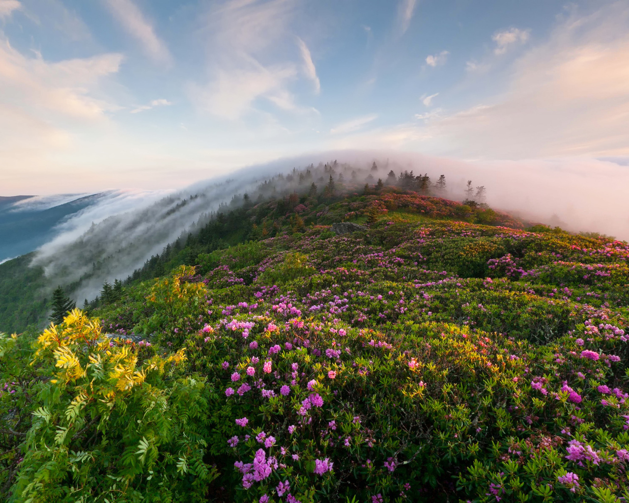 Утренний туман в горах