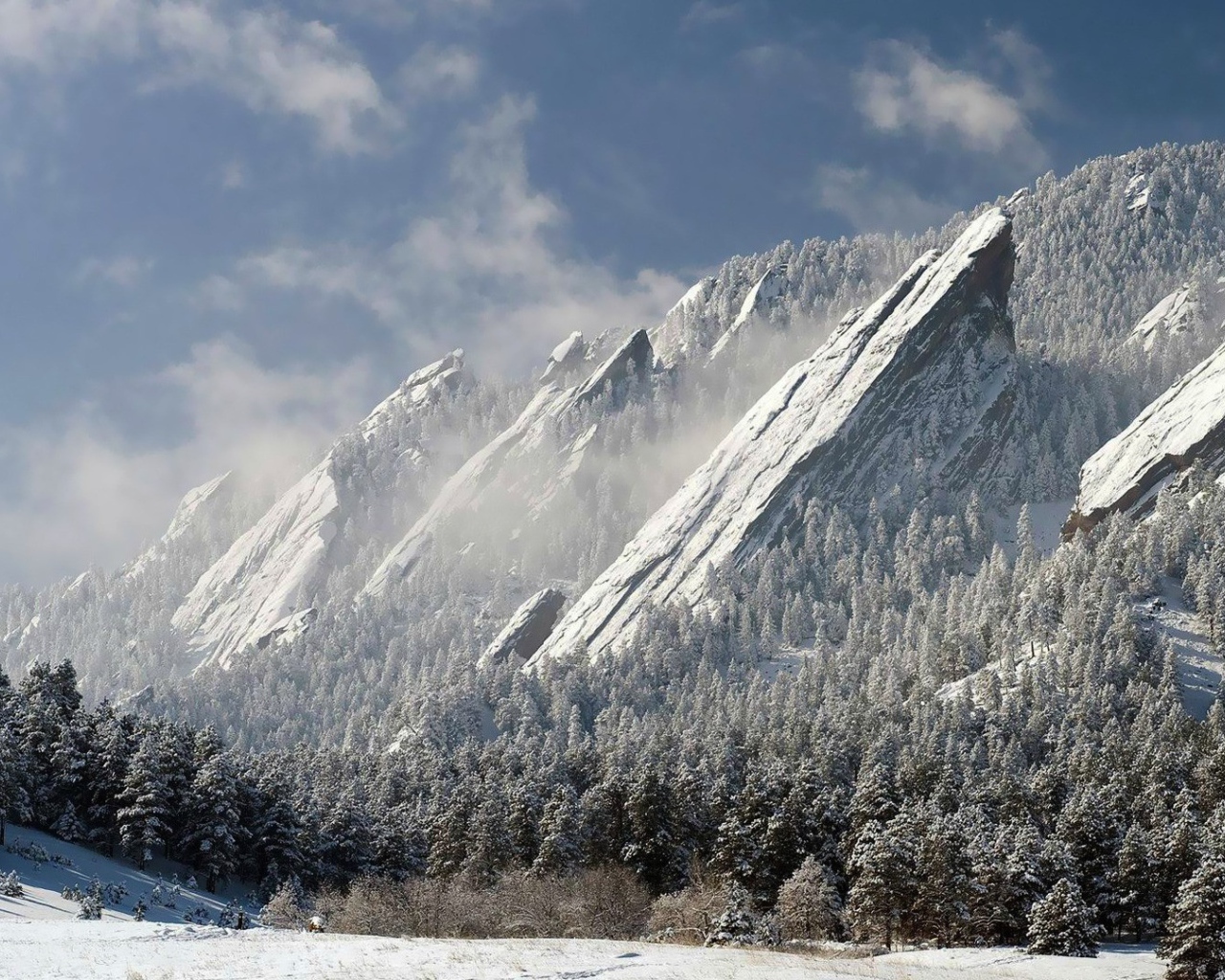 Скалы и деревья