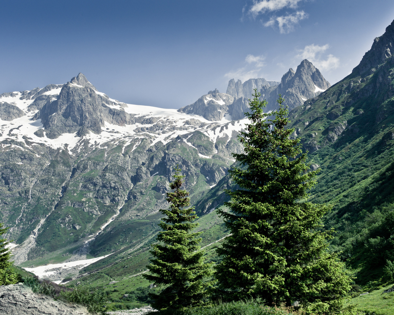 Снежные горы и деревья