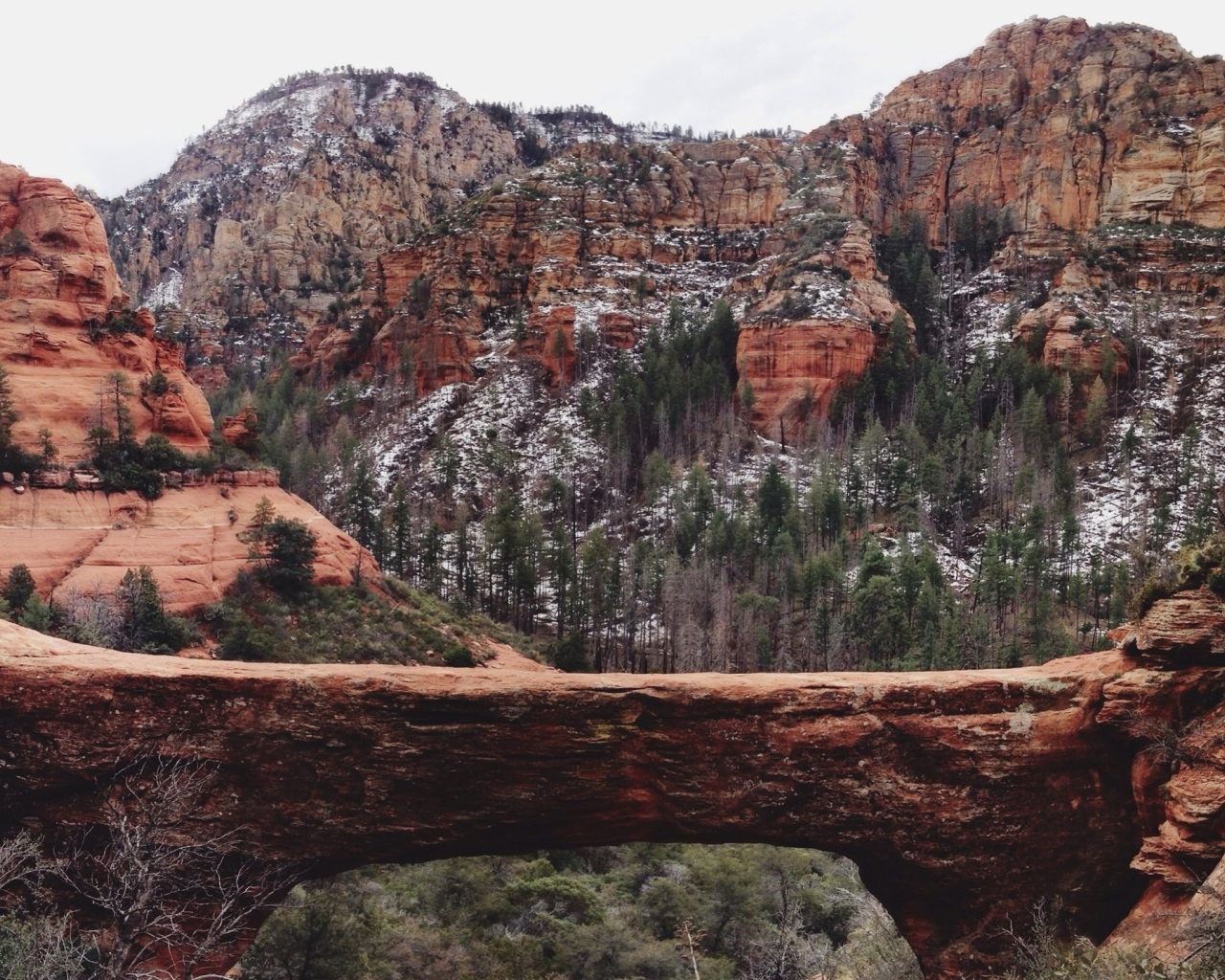 Мост через ущелье