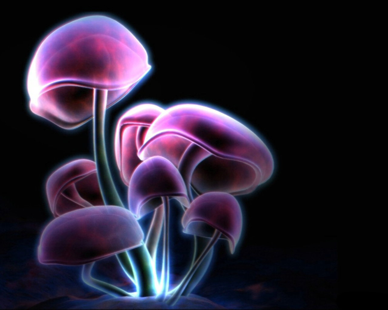 Фиолетовые грибы