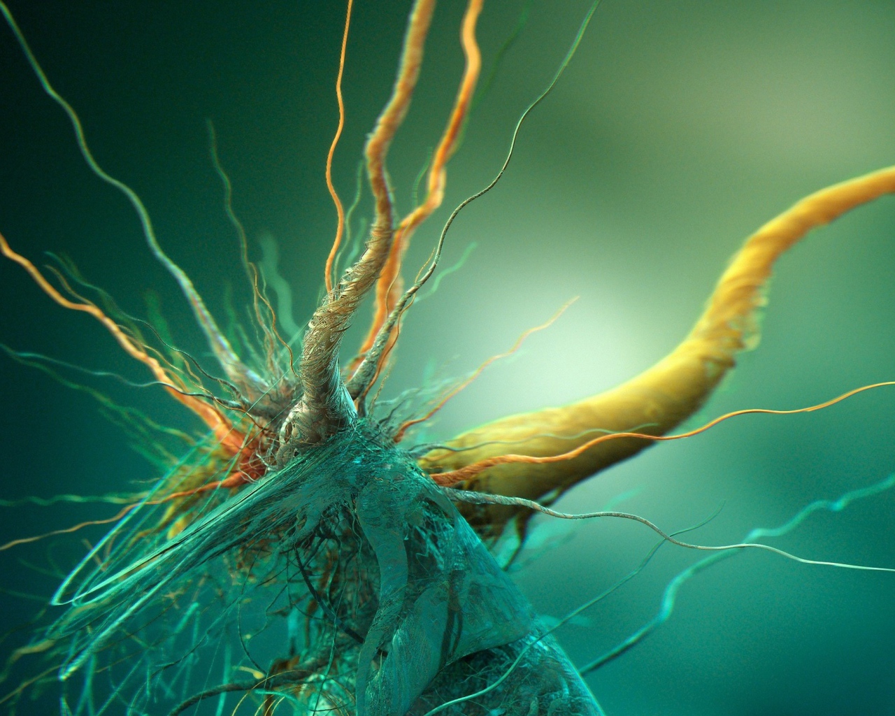 Бактерия под микроскопом